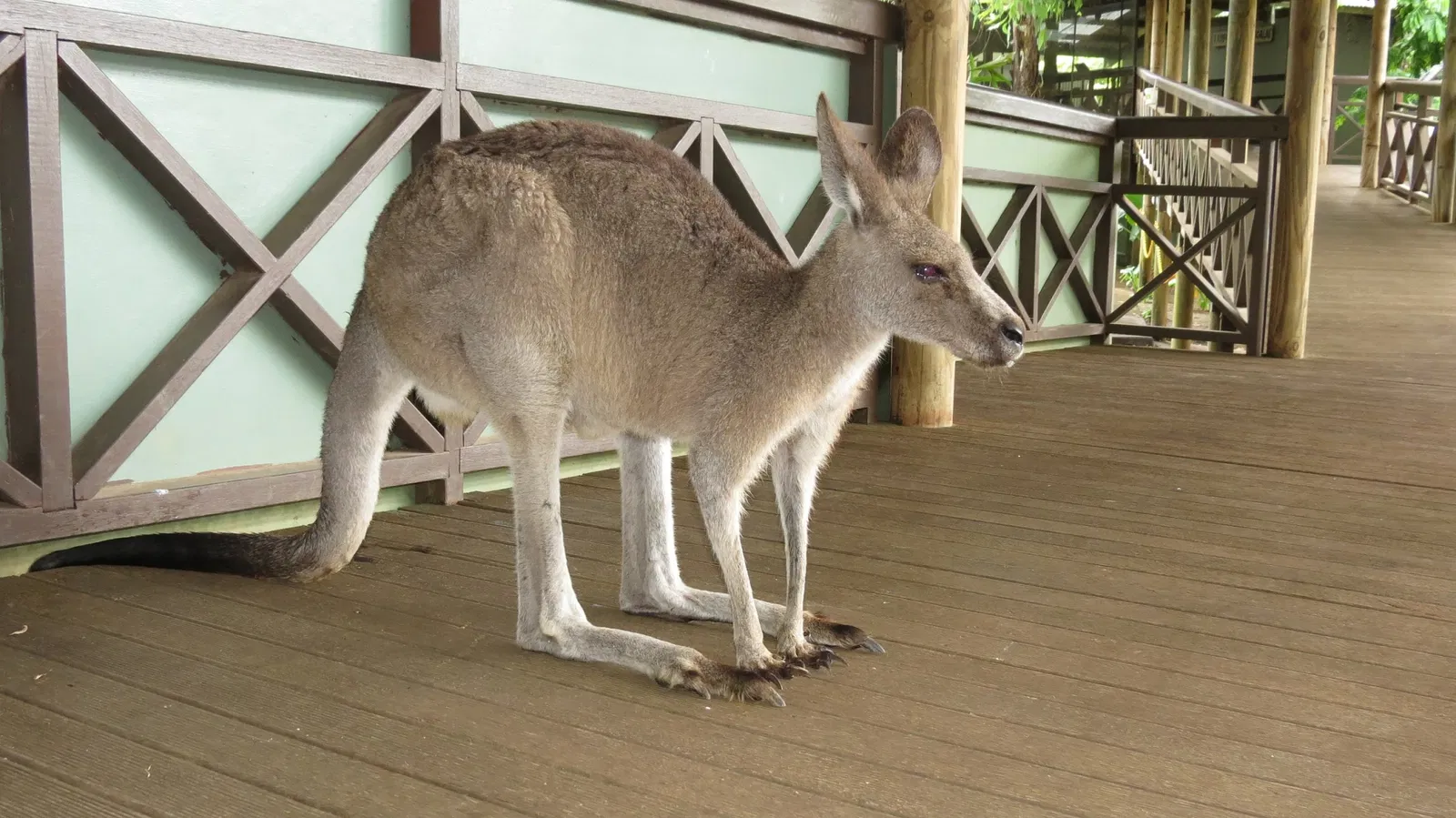 Rainforestation Nature Park