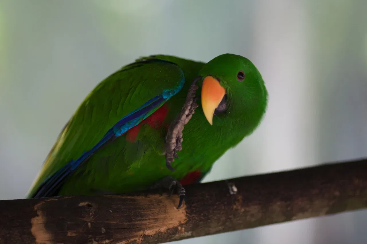 Rainforestation Nature Park