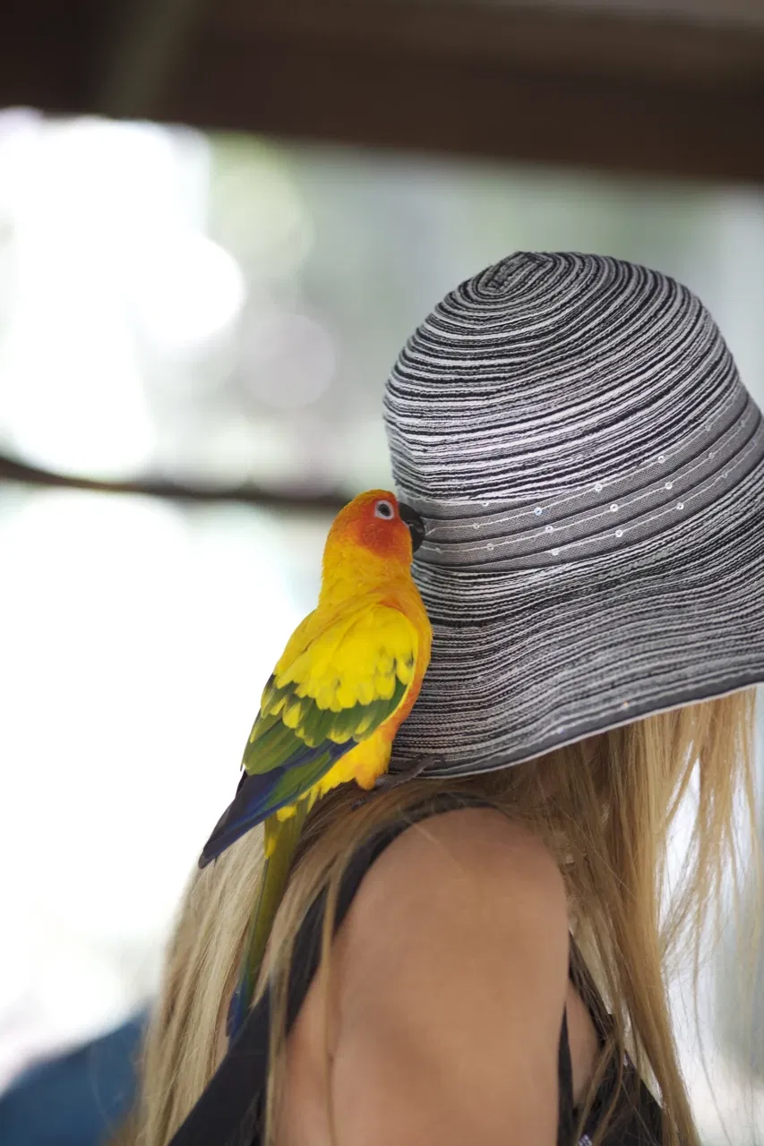 Rainforestation Nature Park