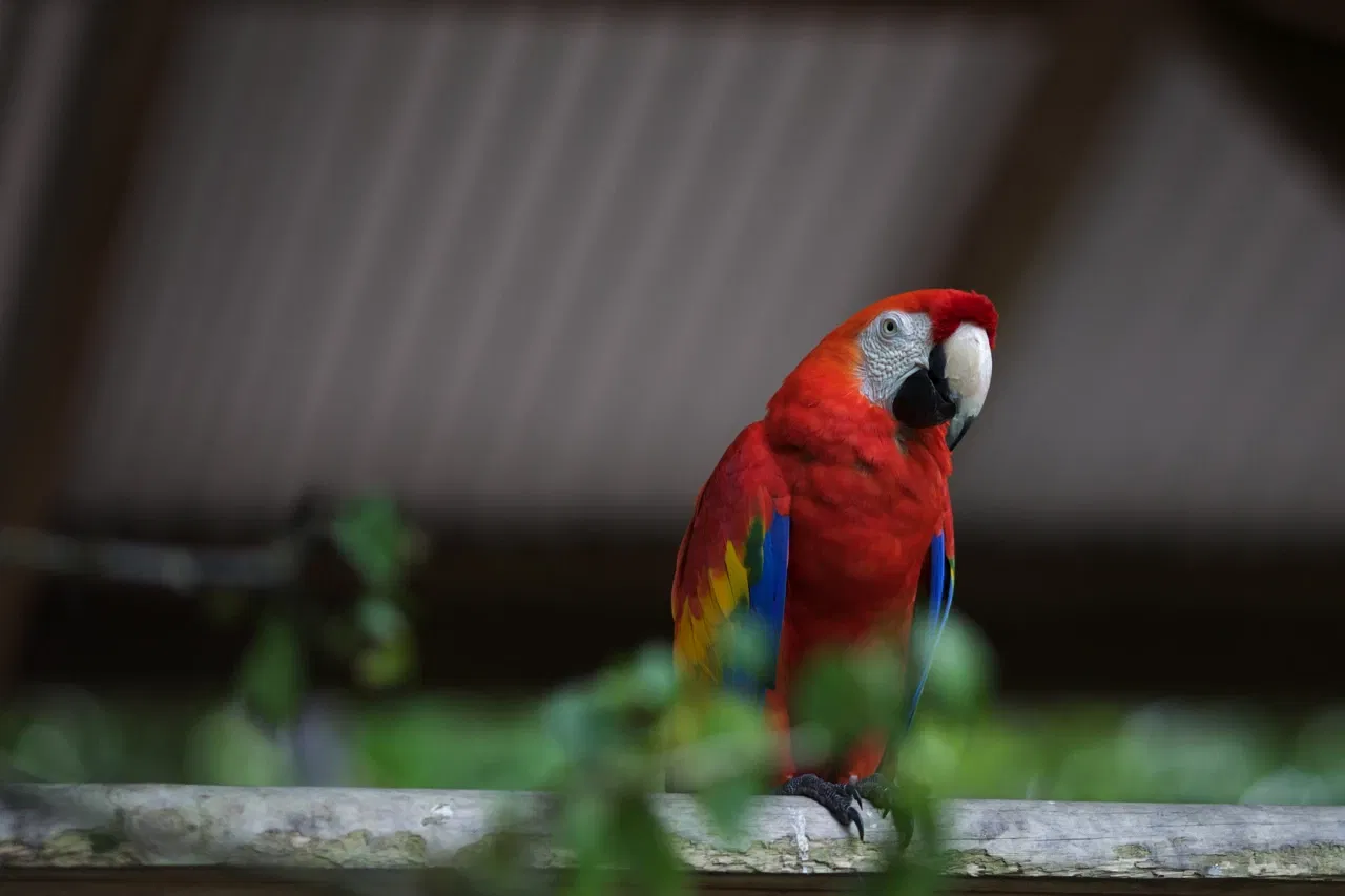 Rainforestation Nature Park