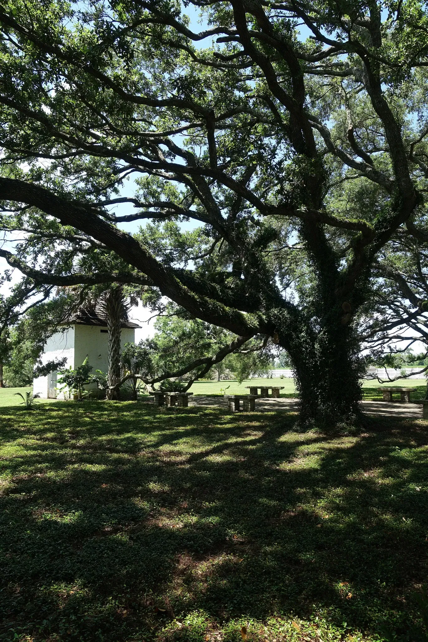 Whitney Plantation