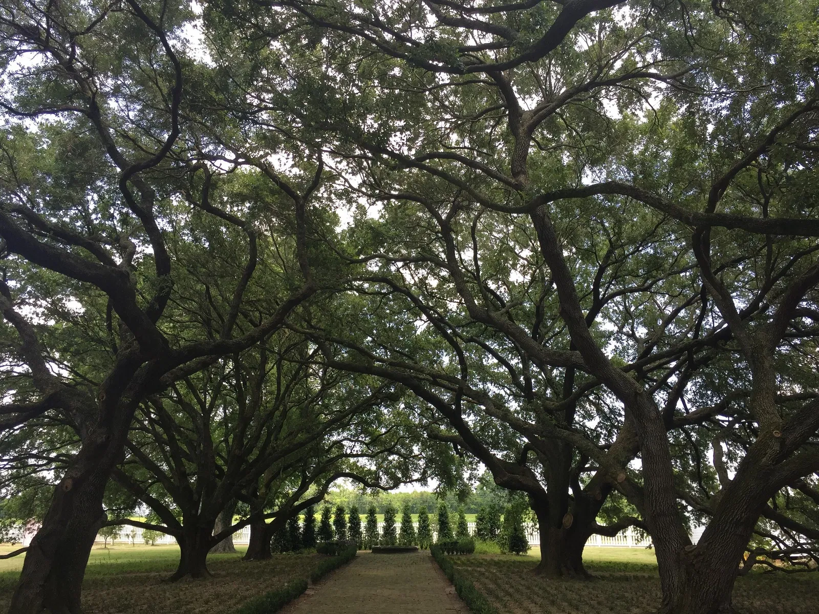 Whitney Plantation