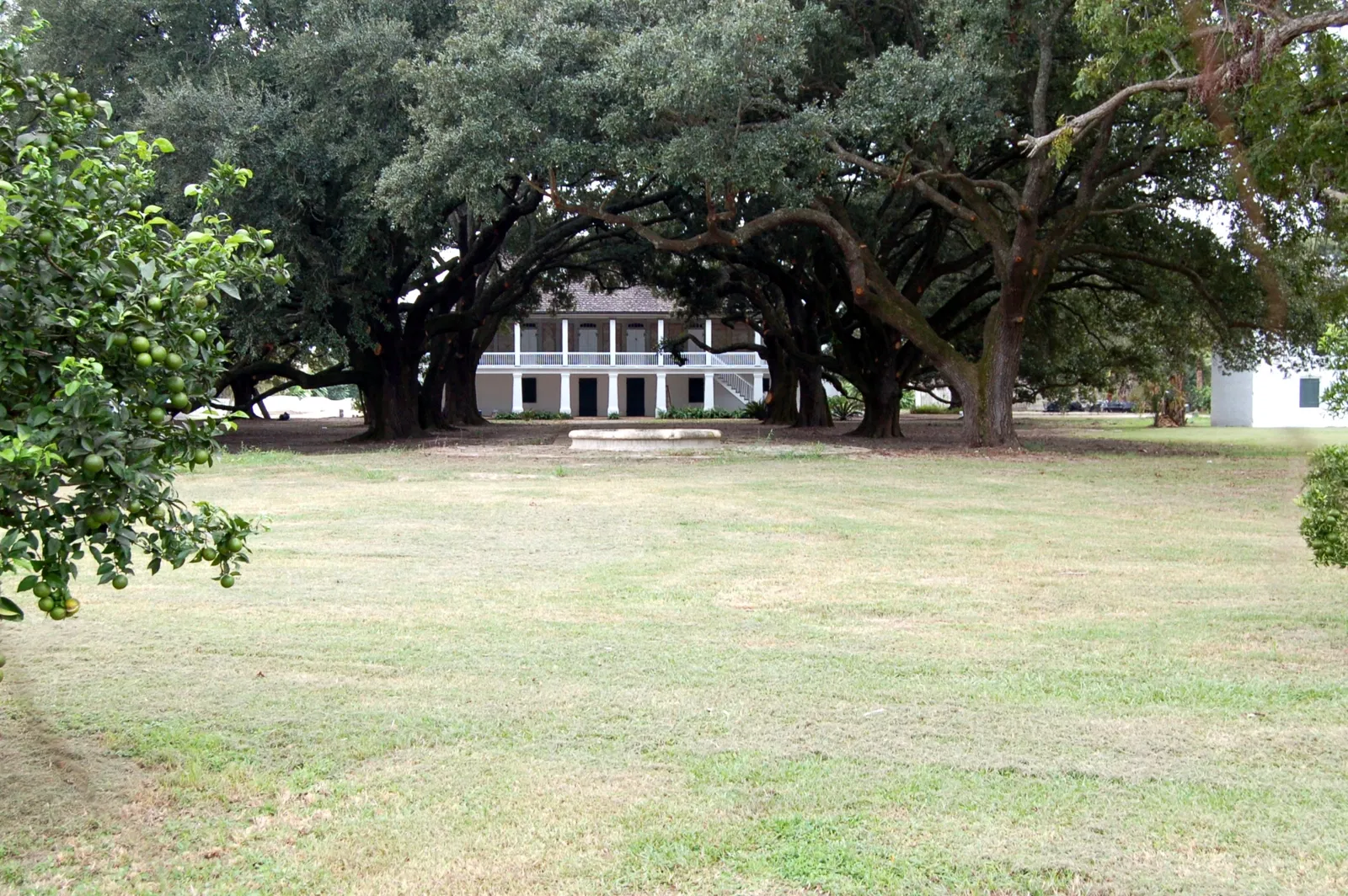 Whitney Plantation