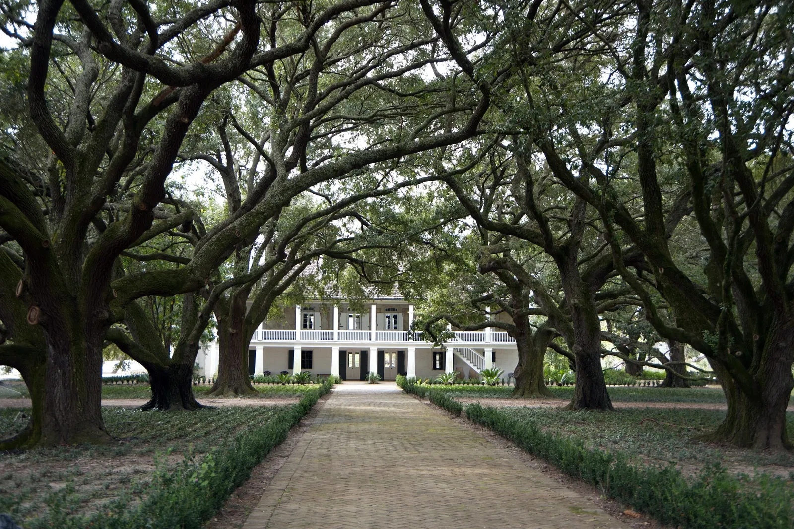 Whitney Plantation