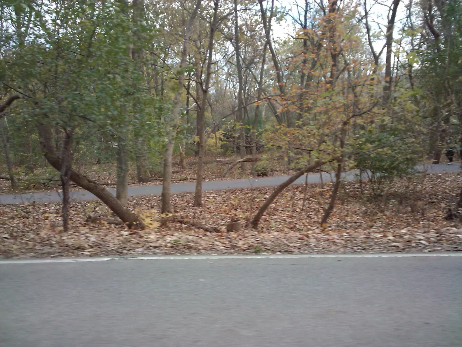 Graue Mill and Museum