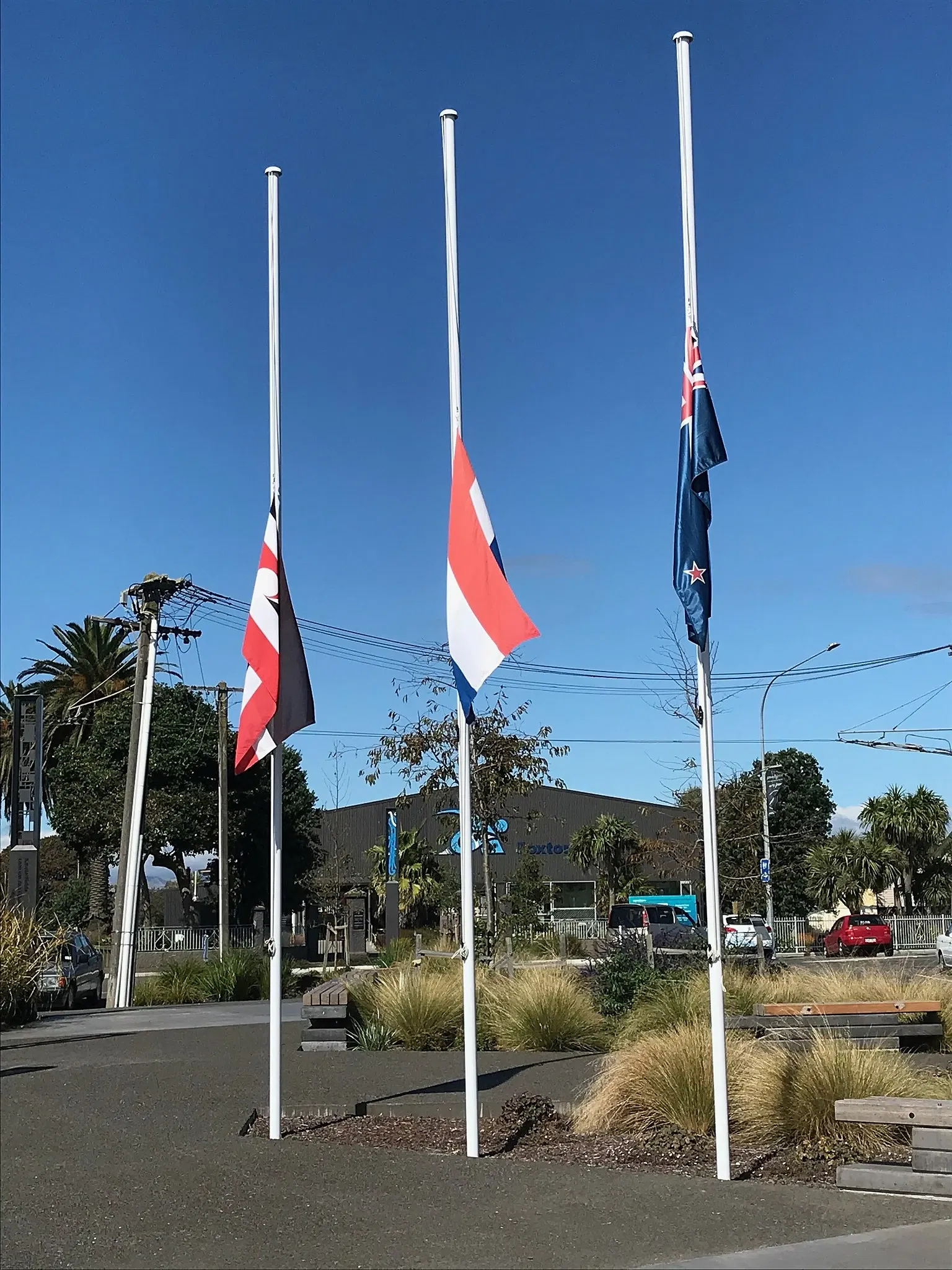 Te Awahou Nieuwe Stroom
