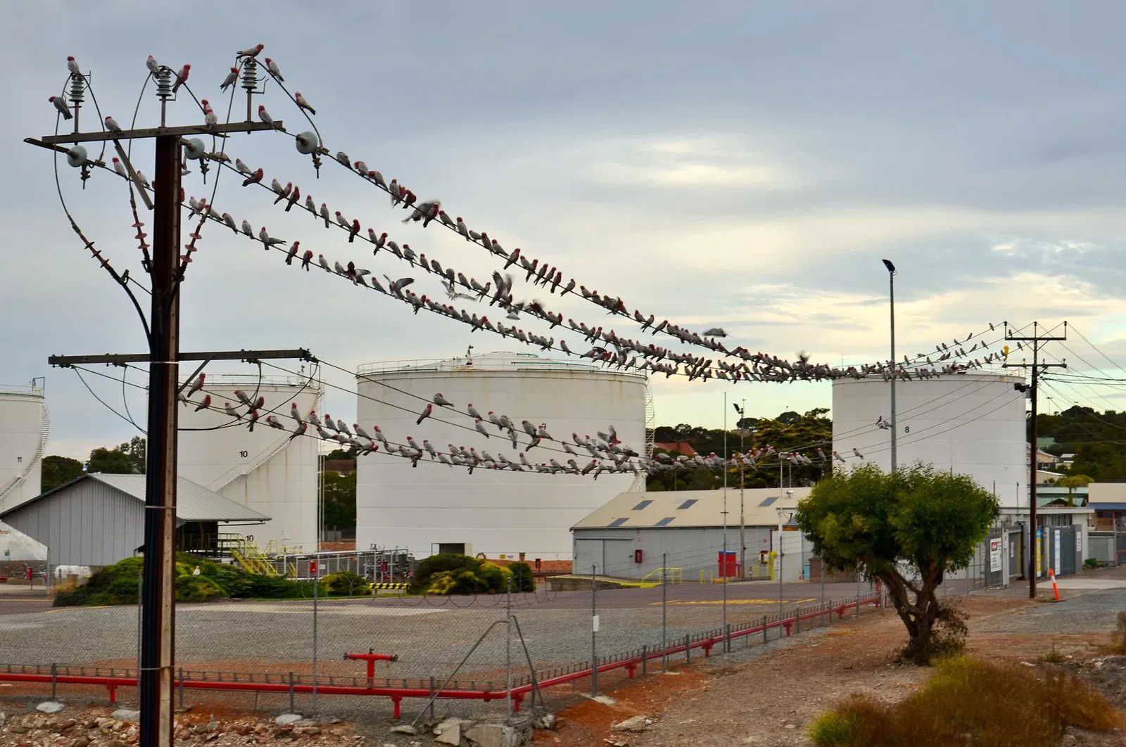 Port Lincoln Railway Museum
