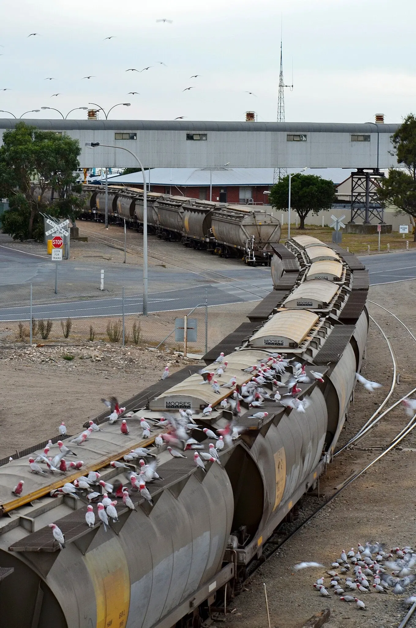 Port Lincoln Railway Museum