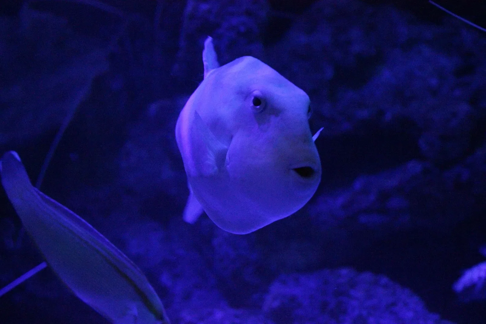 AQWA The Aquarium Of Western Australia