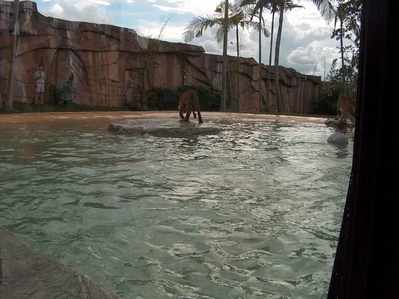 Zoológico de Australia