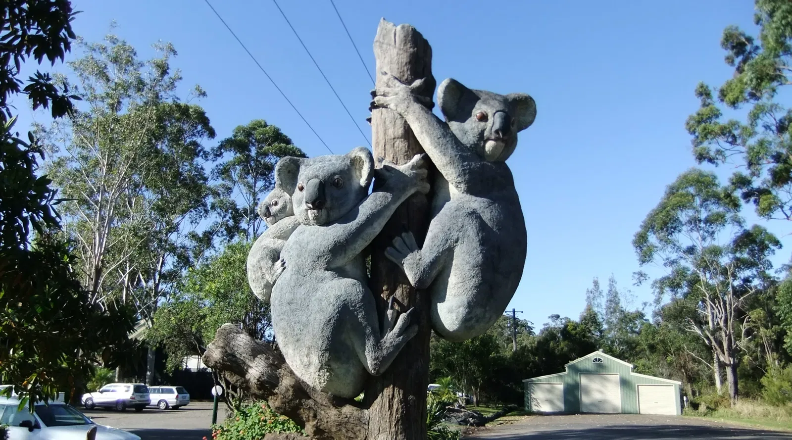Billabong Zoo Koala & Wildlife Park