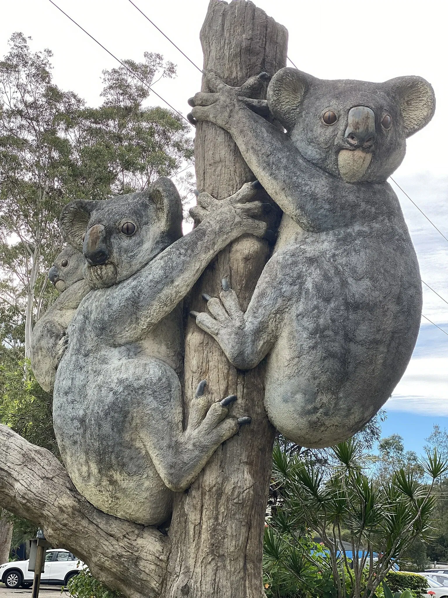 Billabong Zoo Koala & Wildlife Park