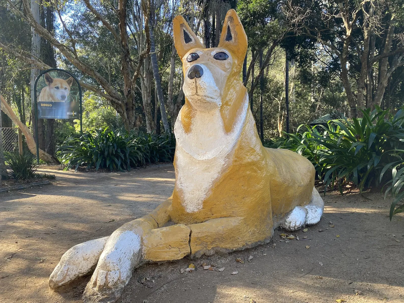 Billabong Zoo Koala & Wildlife Park