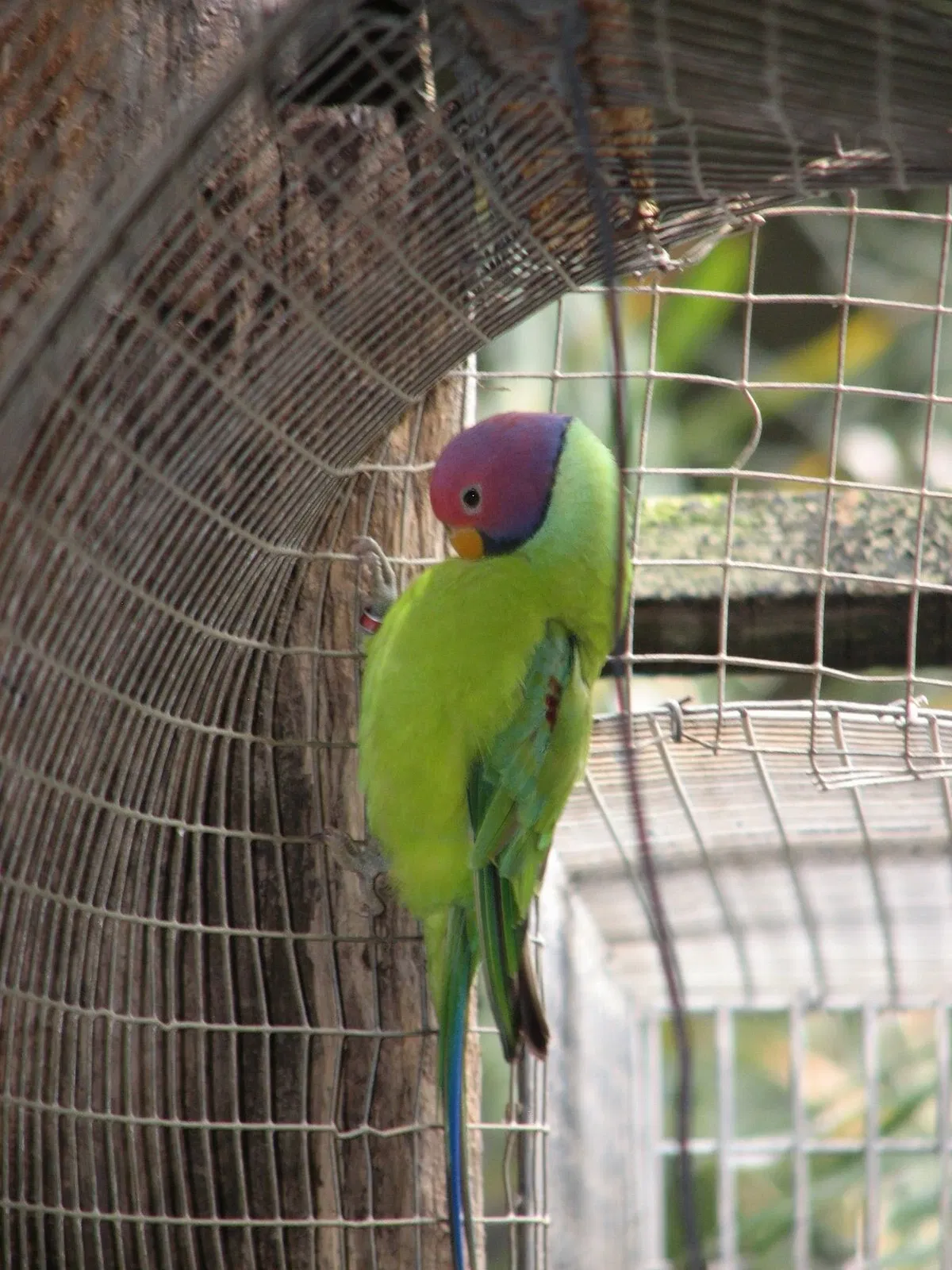 Flying High Bird Park