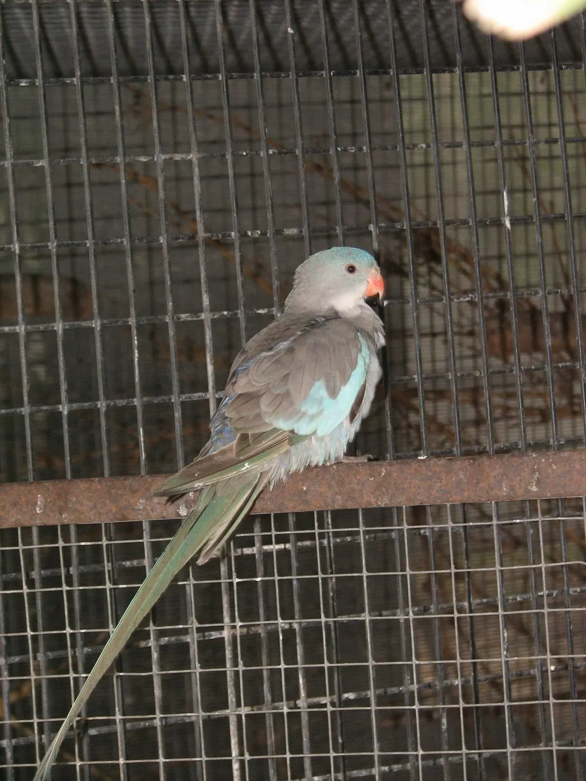 Flying High Bird Park
