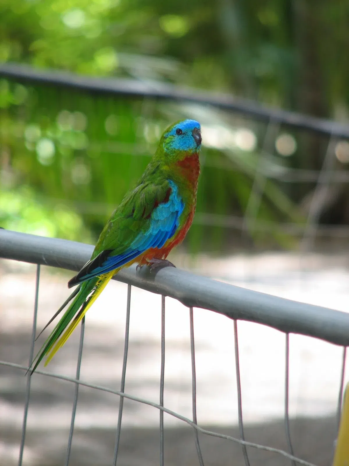 Flying High Bird Park