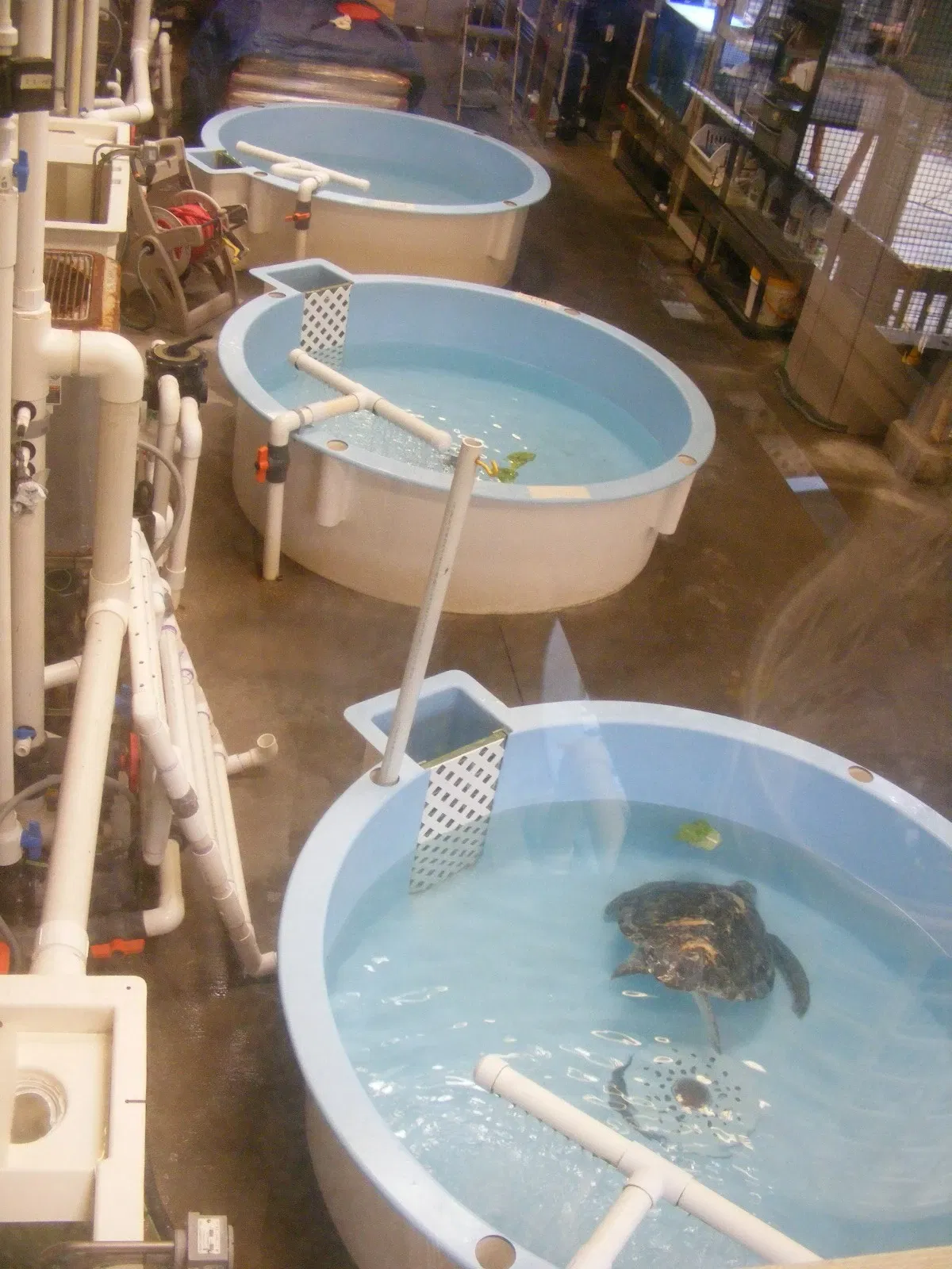 Marine Science Center