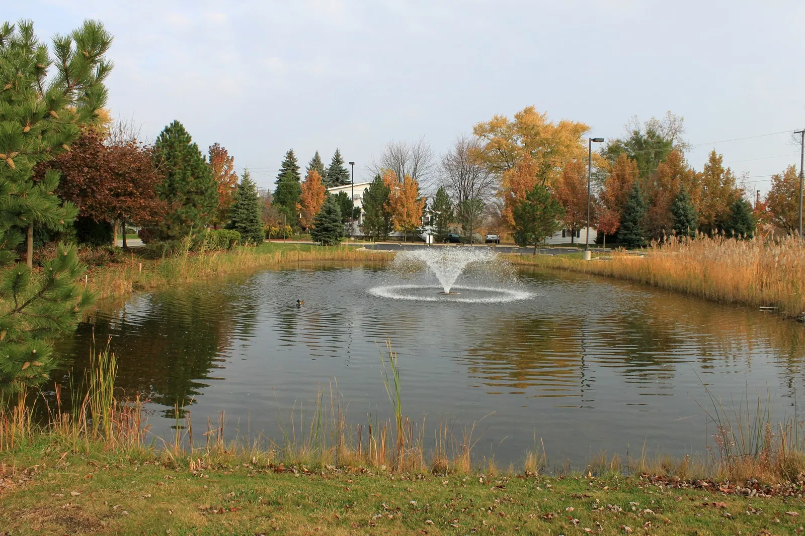 Canton Township (Michigan)