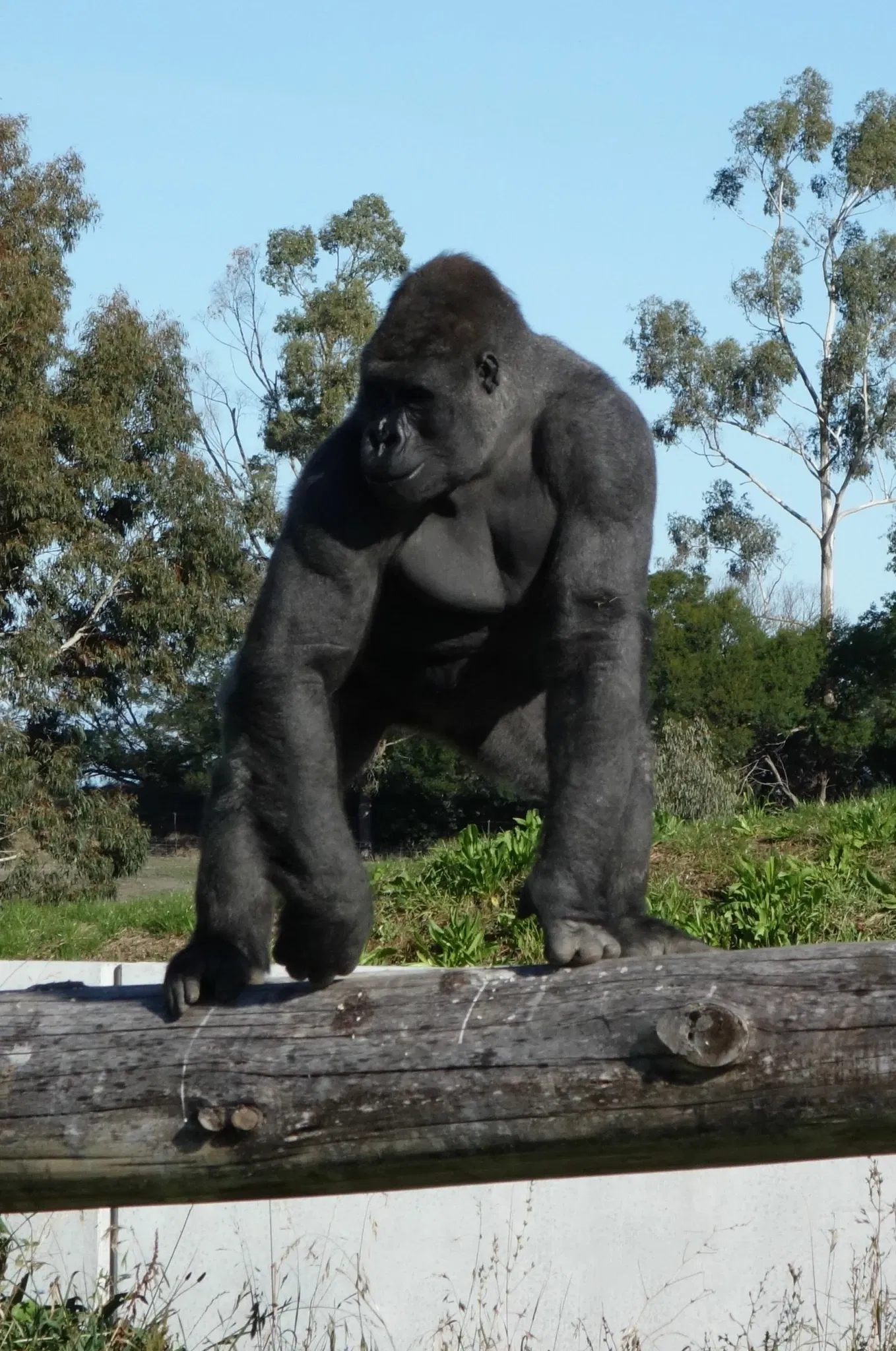 Orana Wildlife Park