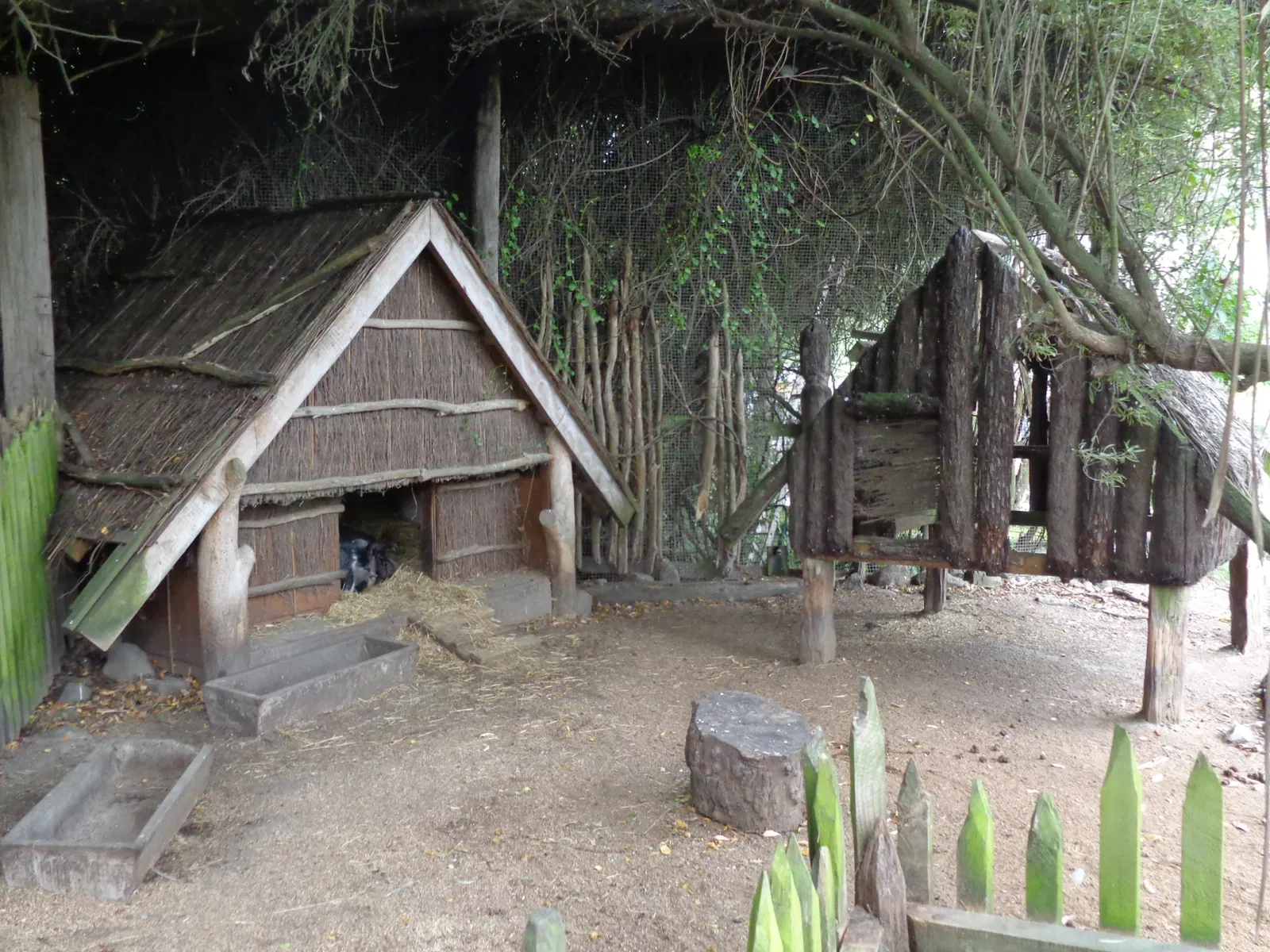 Willowbank Wildlife Reserve