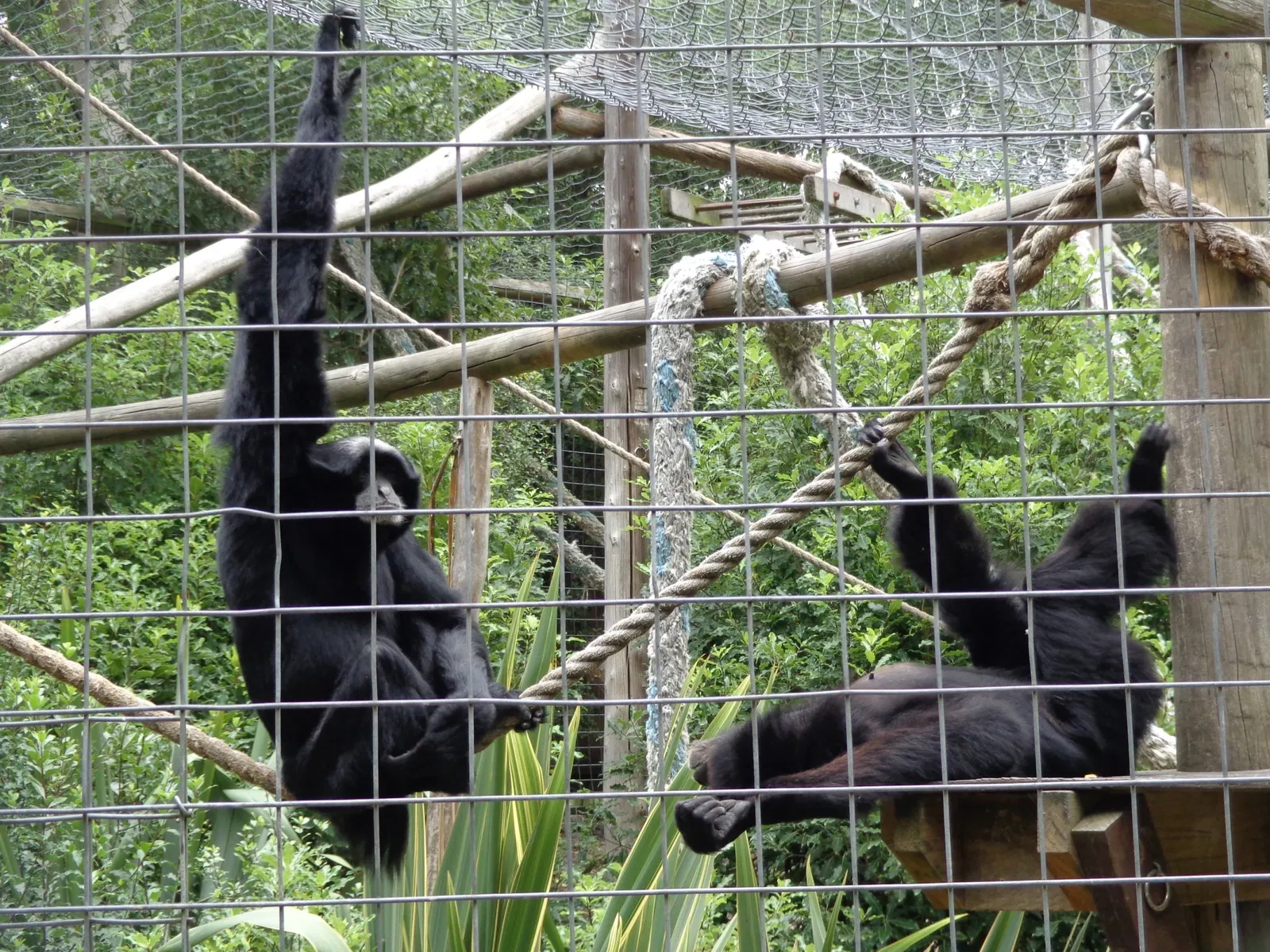 Willowbank Wildlife Reserve