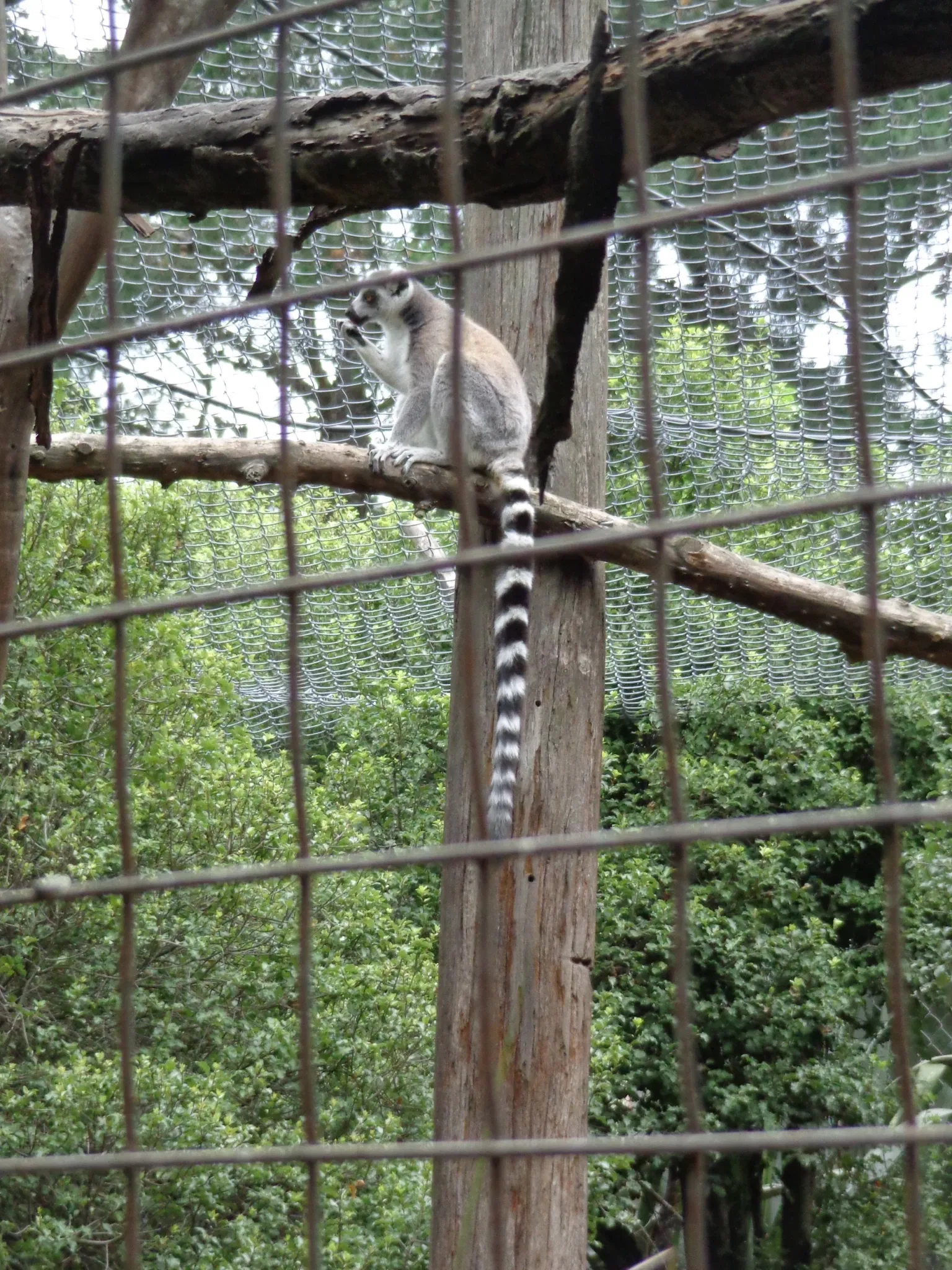 Willowbank Wildlife Reserve