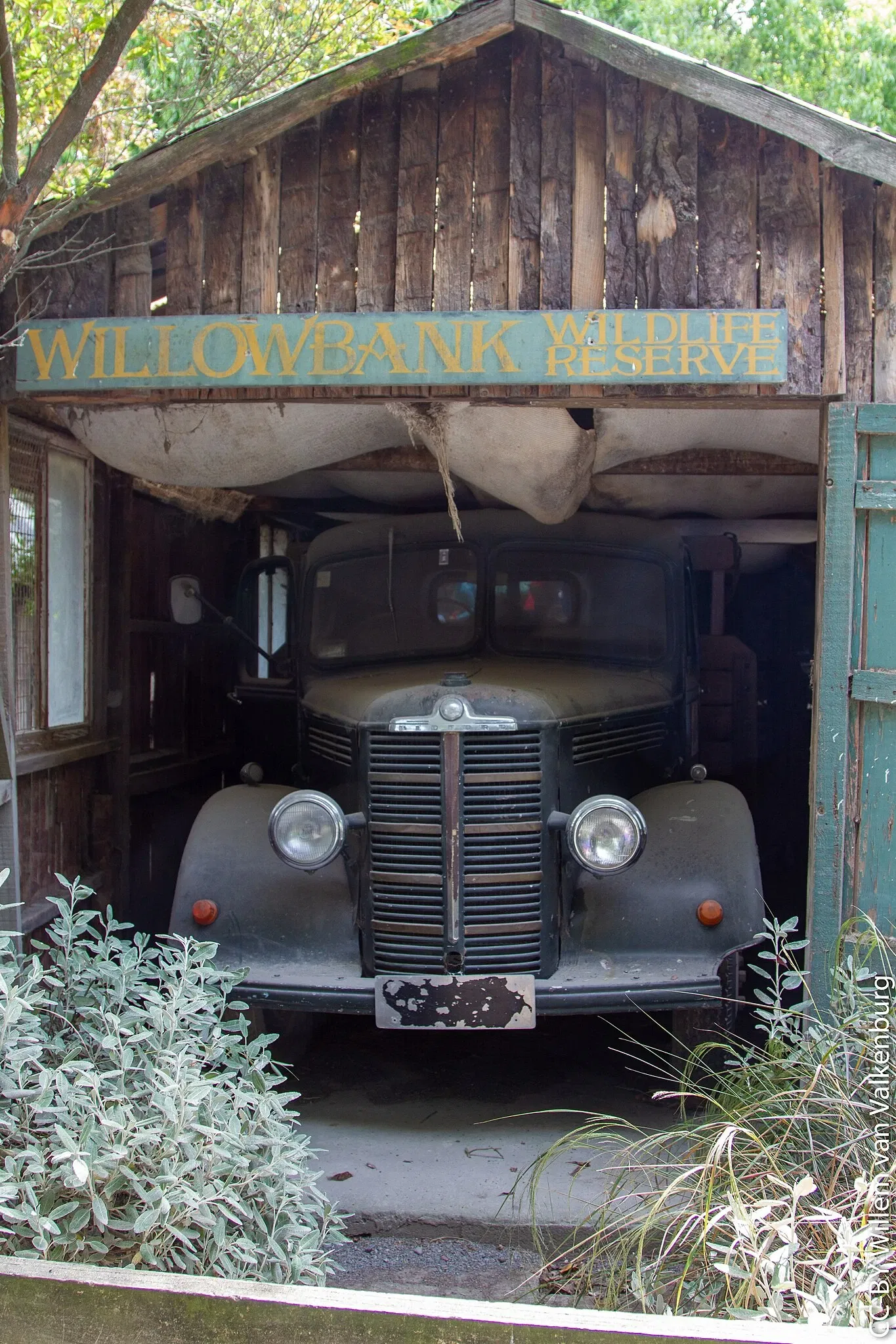 Willowbank Wildlife Reserve