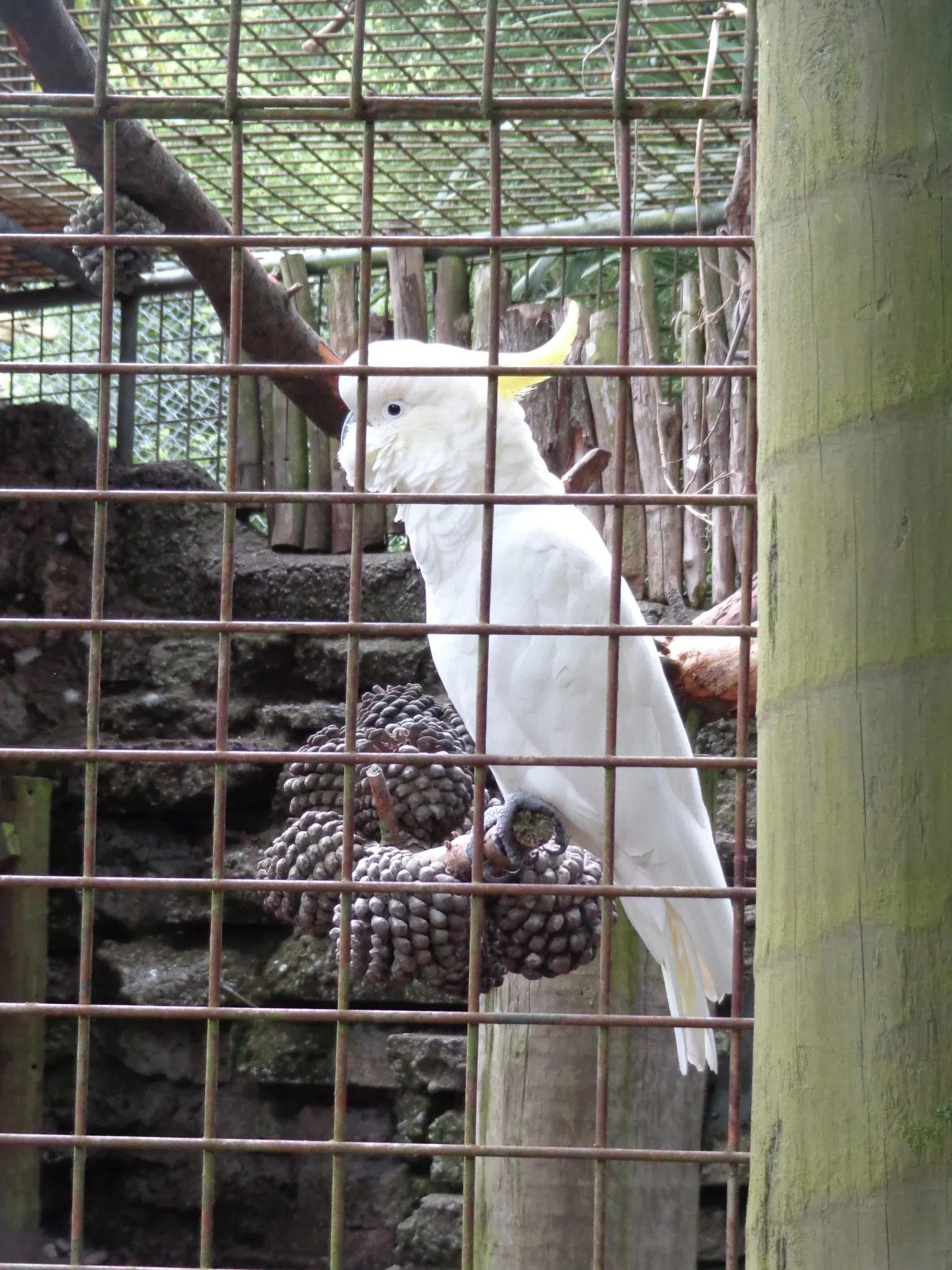 Willowbank Wildlife Reserve