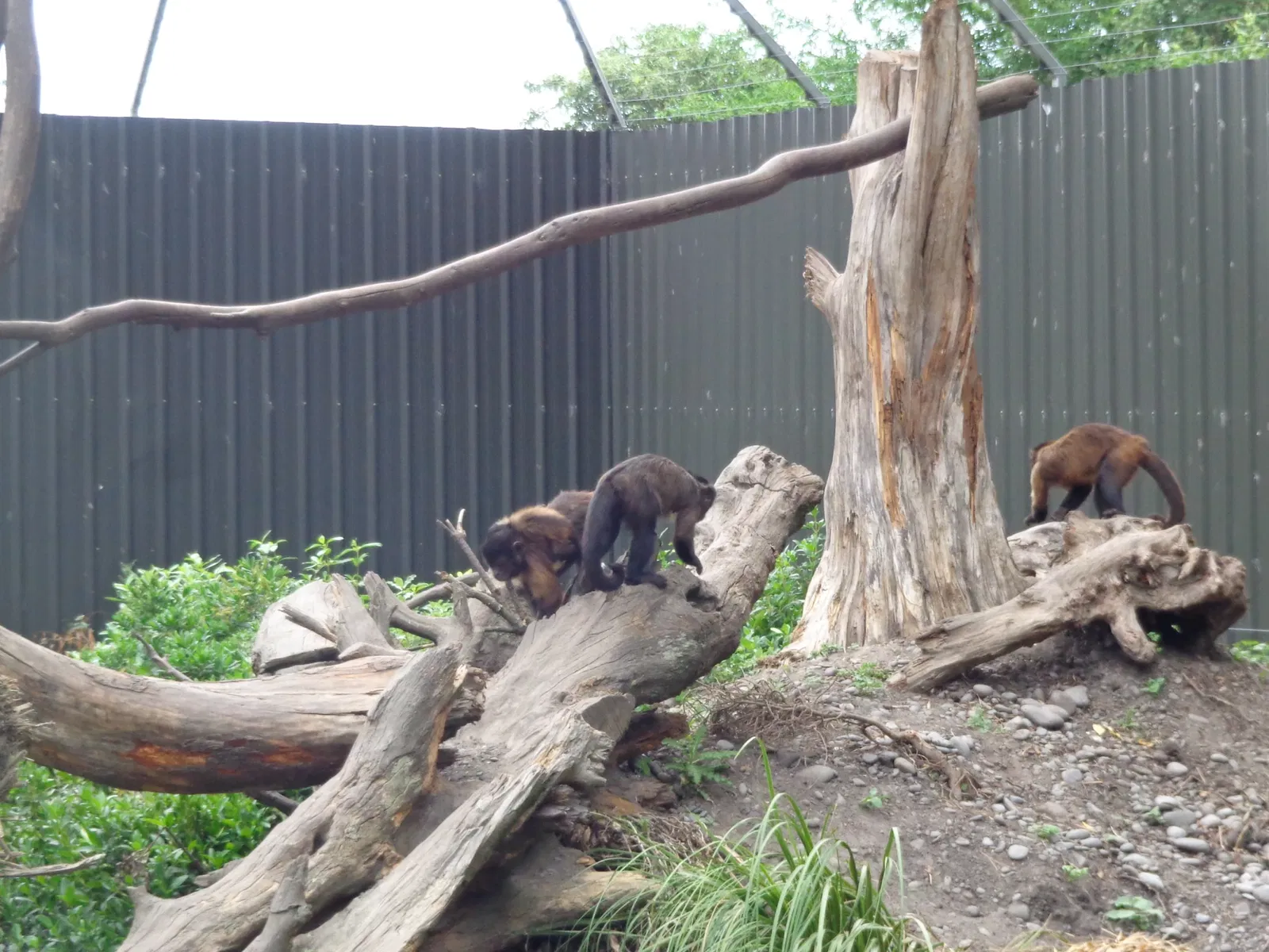 Willowbank Wildlife Reserve