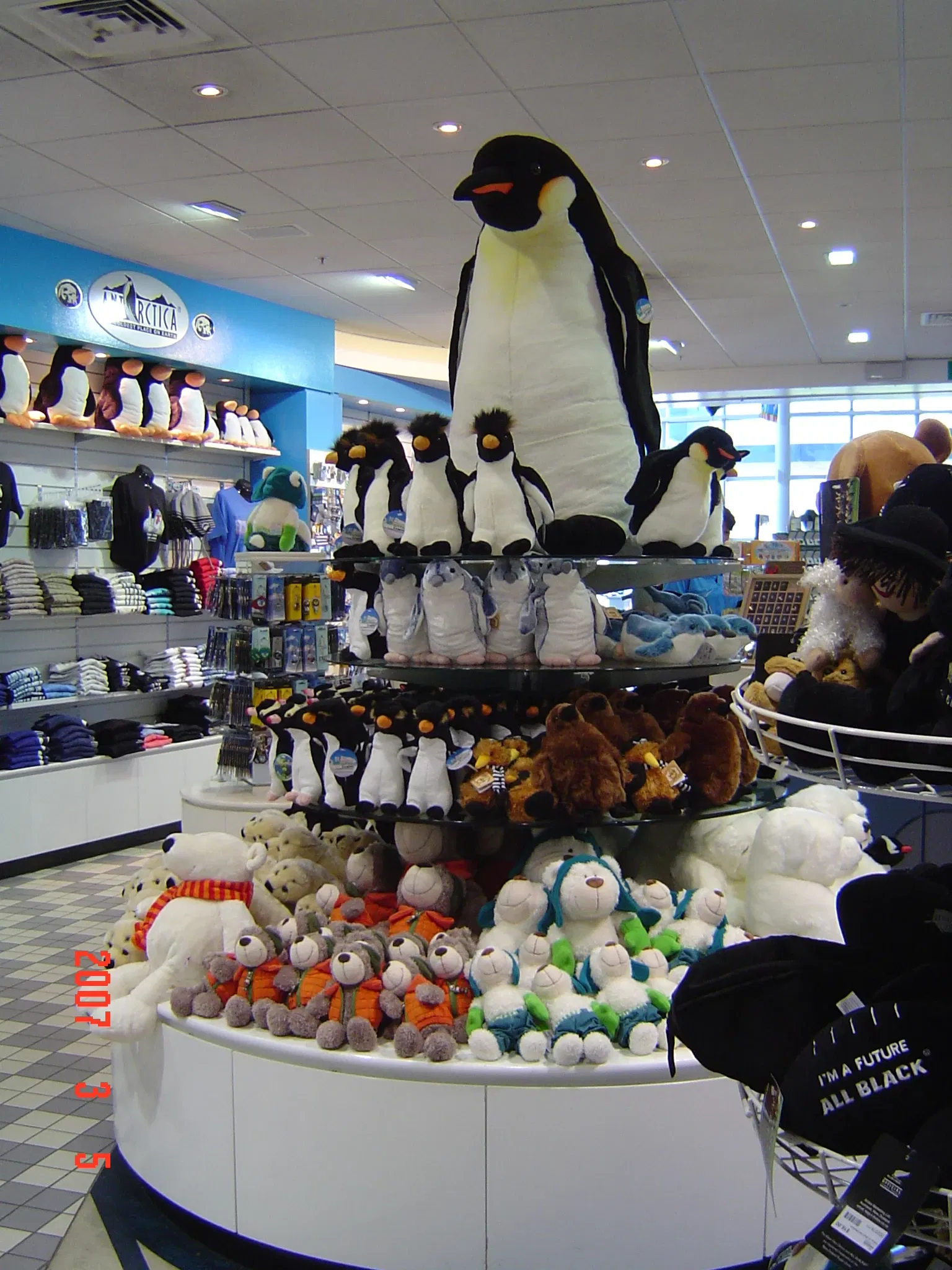 International Antarctic Centre