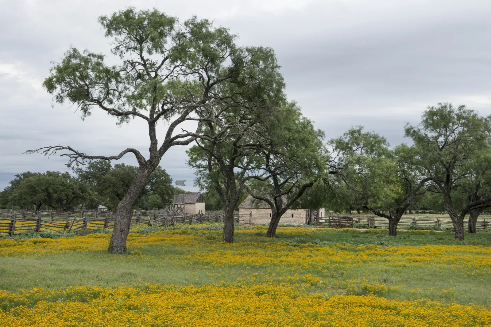 Lyndon B Johnson National Historical Park