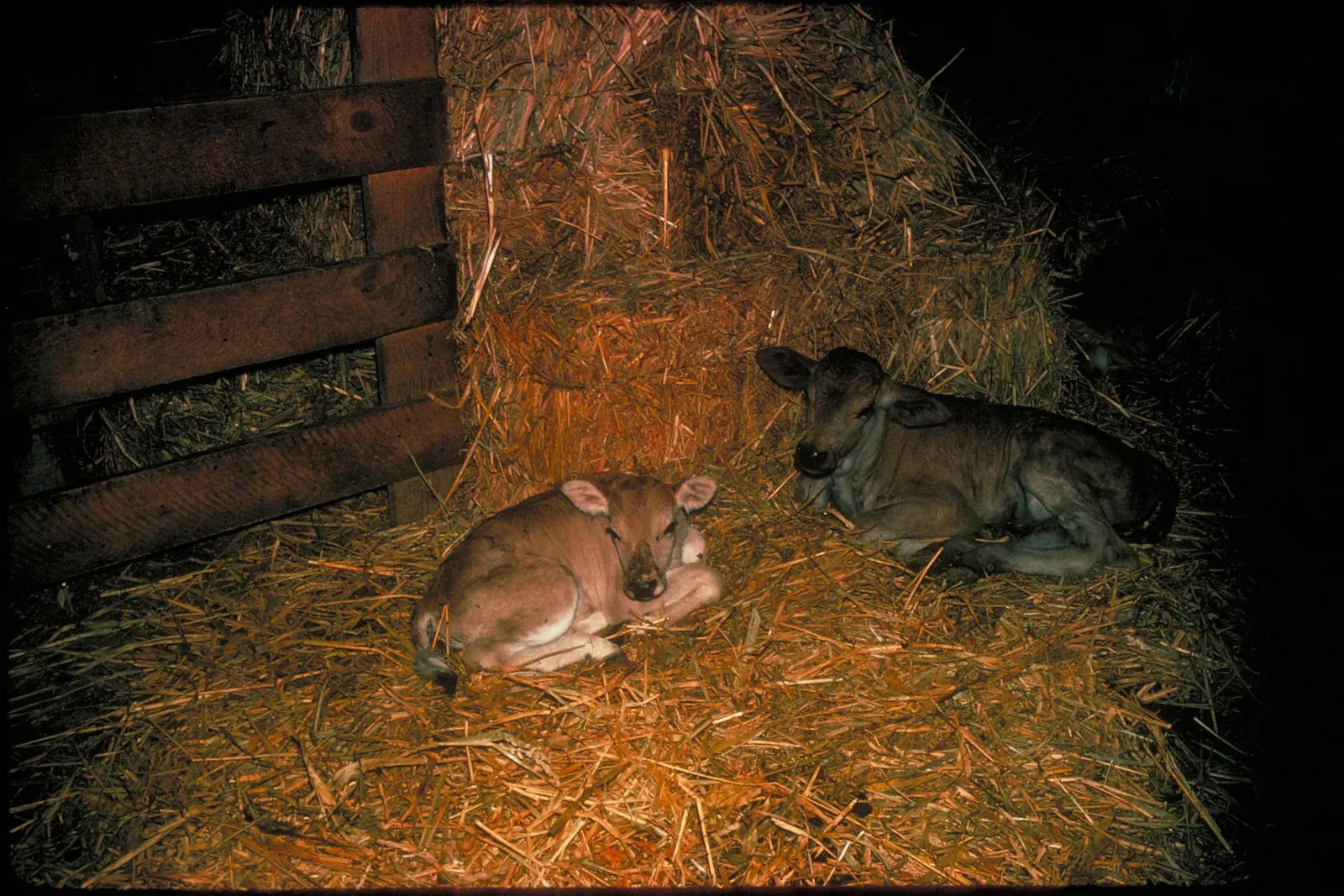 Lyndon B Johnson National Historical Park