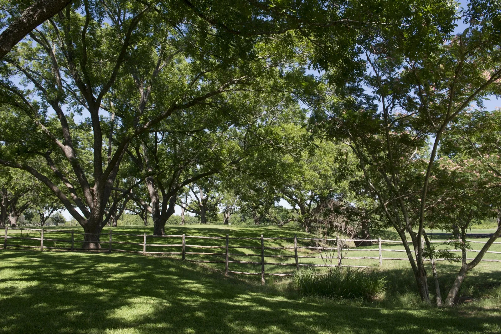 Lyndon B Johnson National Historical Park