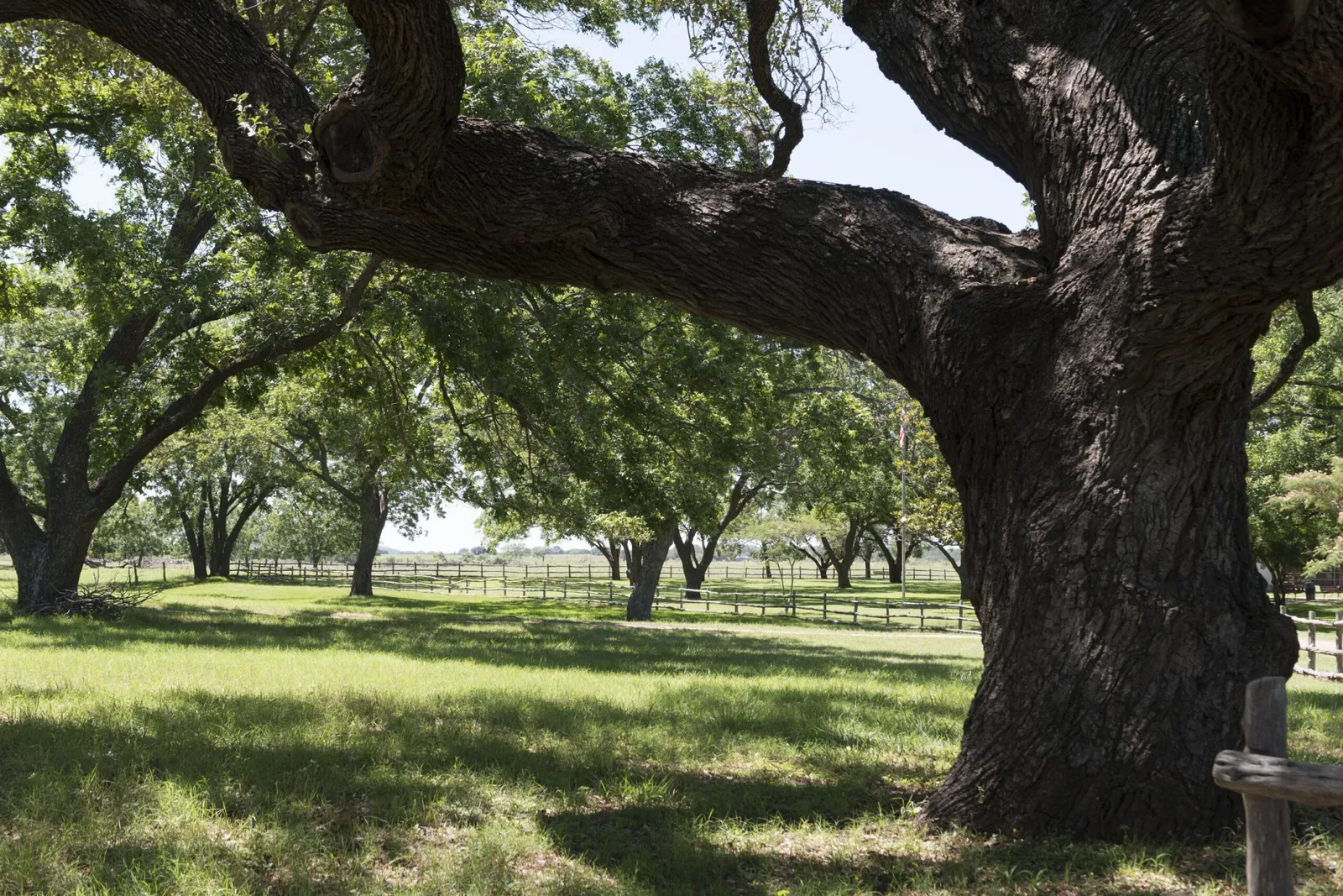 Lyndon B Johnson National Historical Park