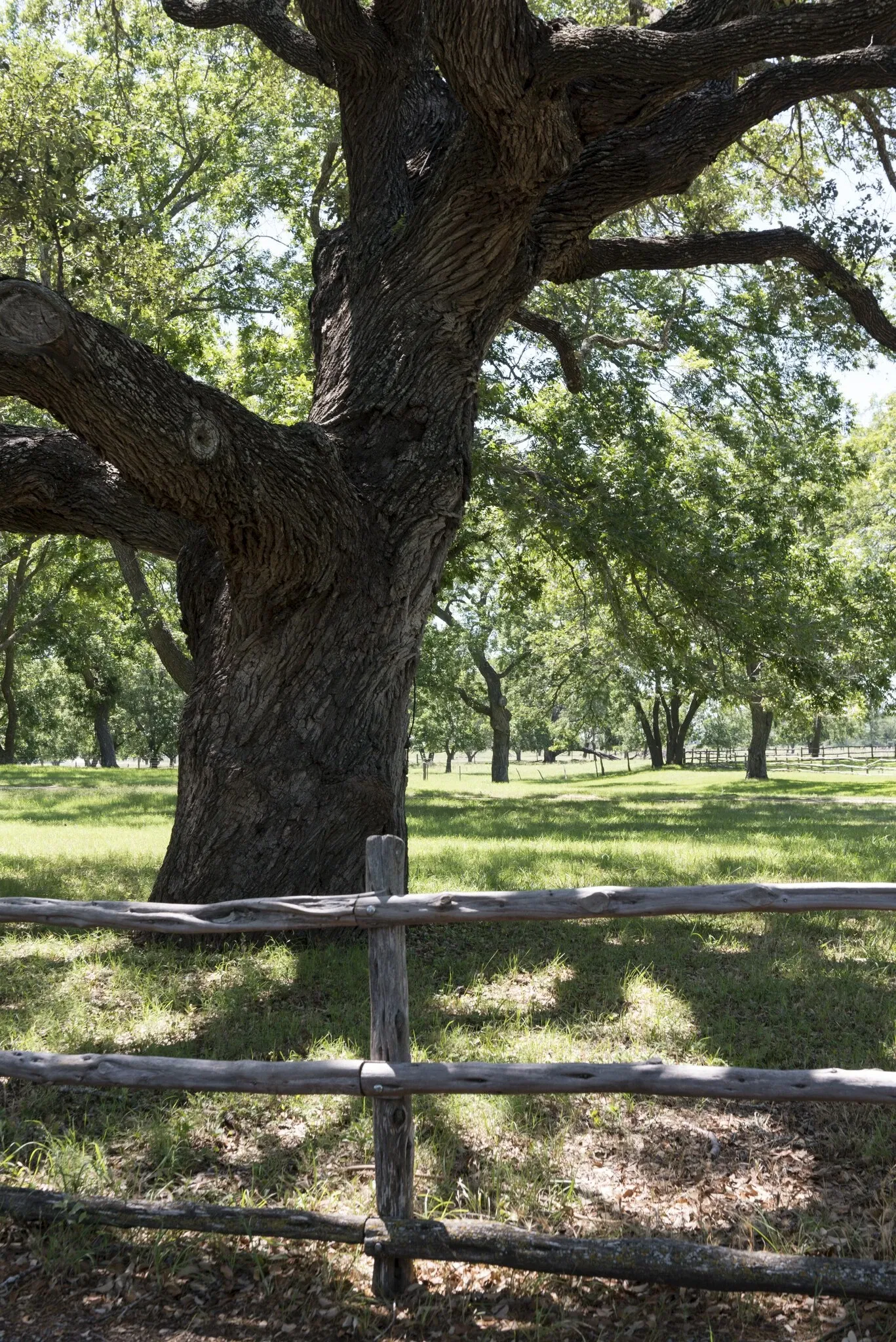 Lyndon B Johnson National Historical Park