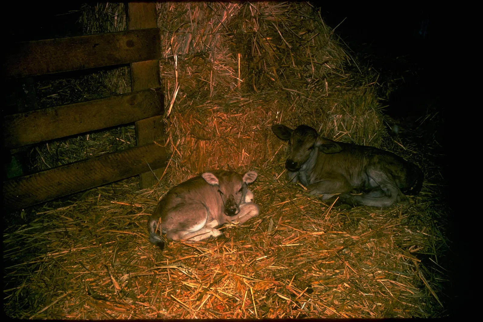 Lyndon B Johnson National Historical Park