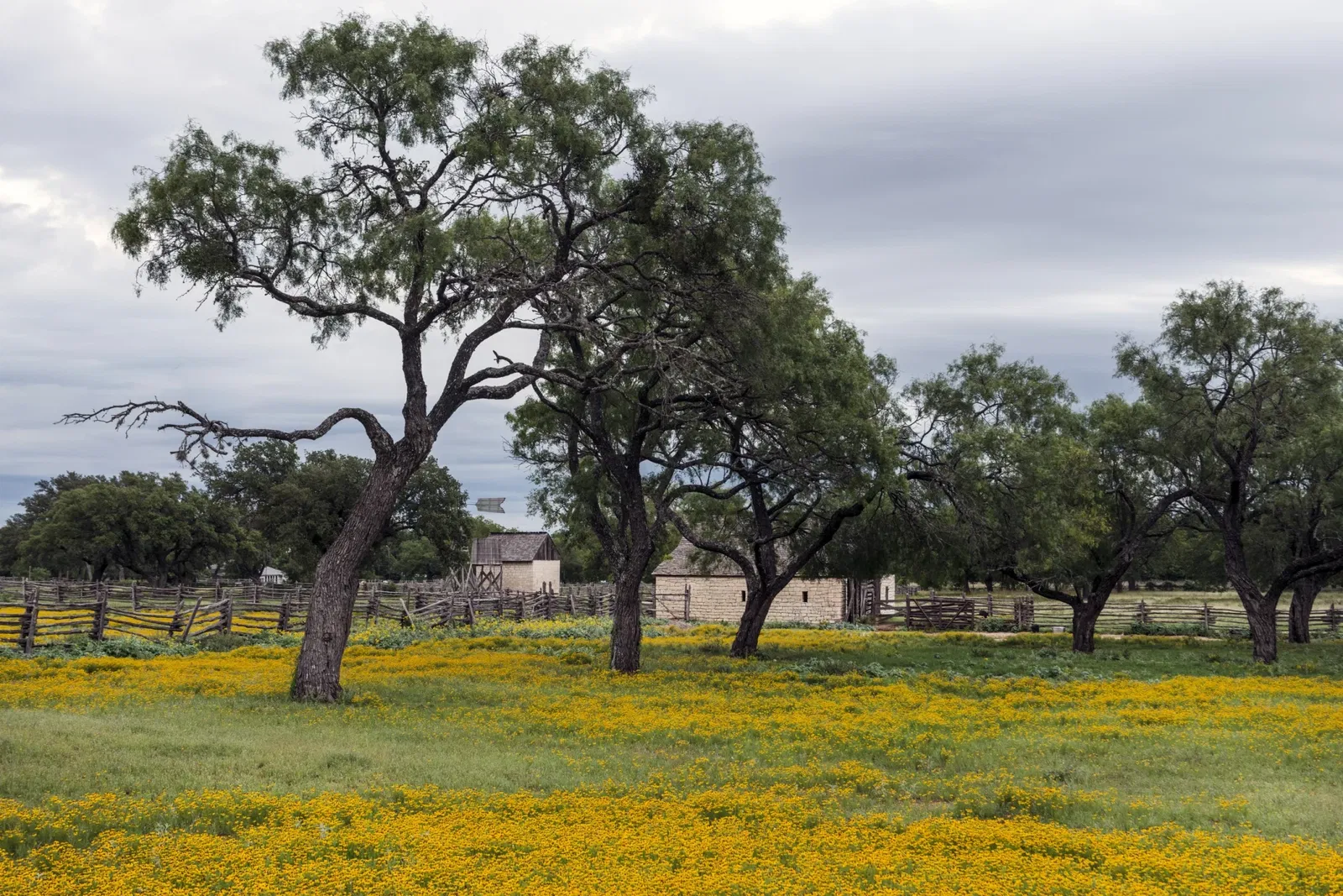 Lyndon B Johnson National Historical Park