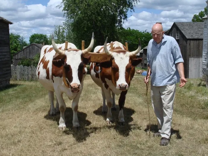 Genesee Country Village and Museum
