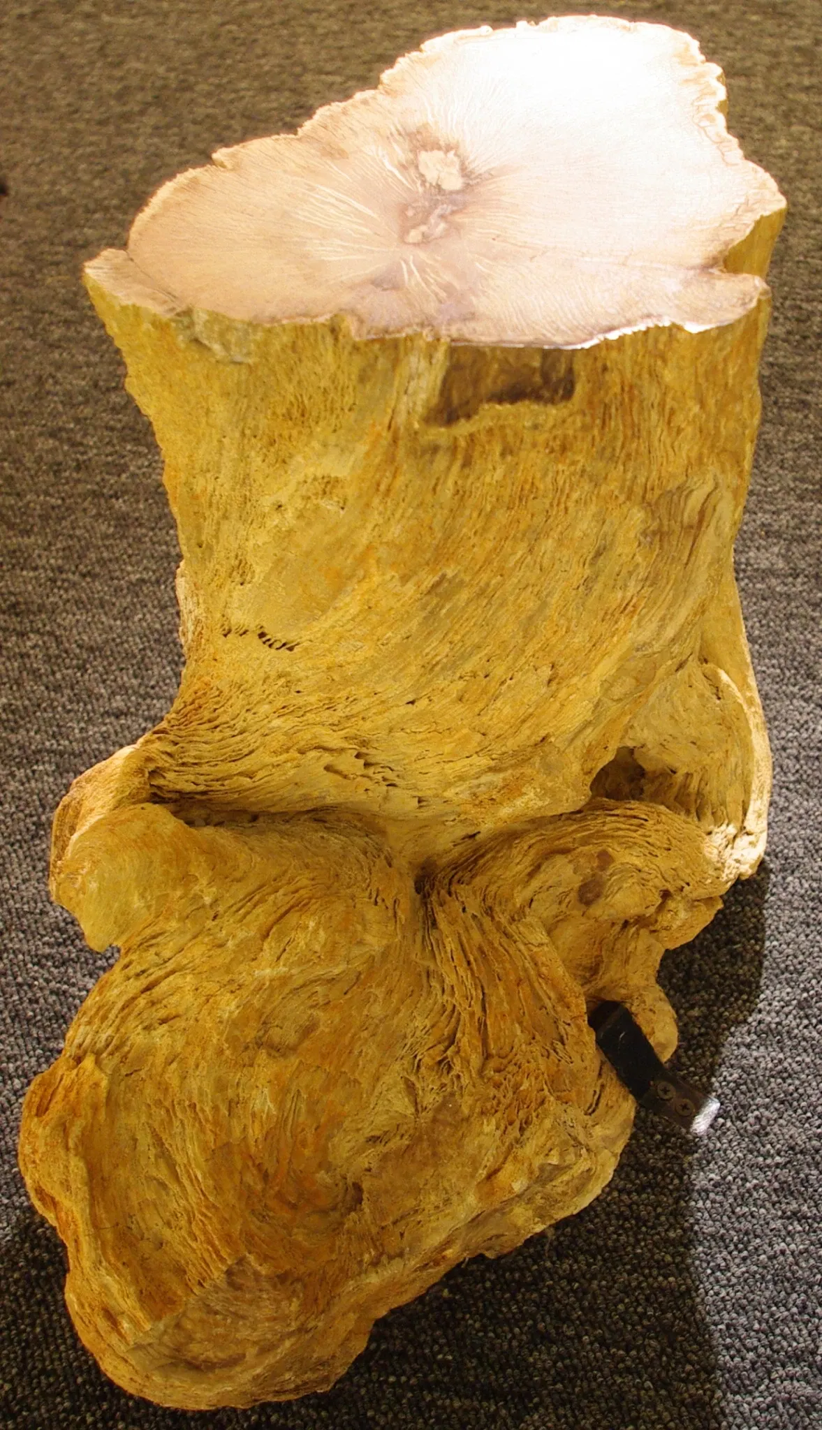 Rice Northwest Museum of Rocks & Minerals