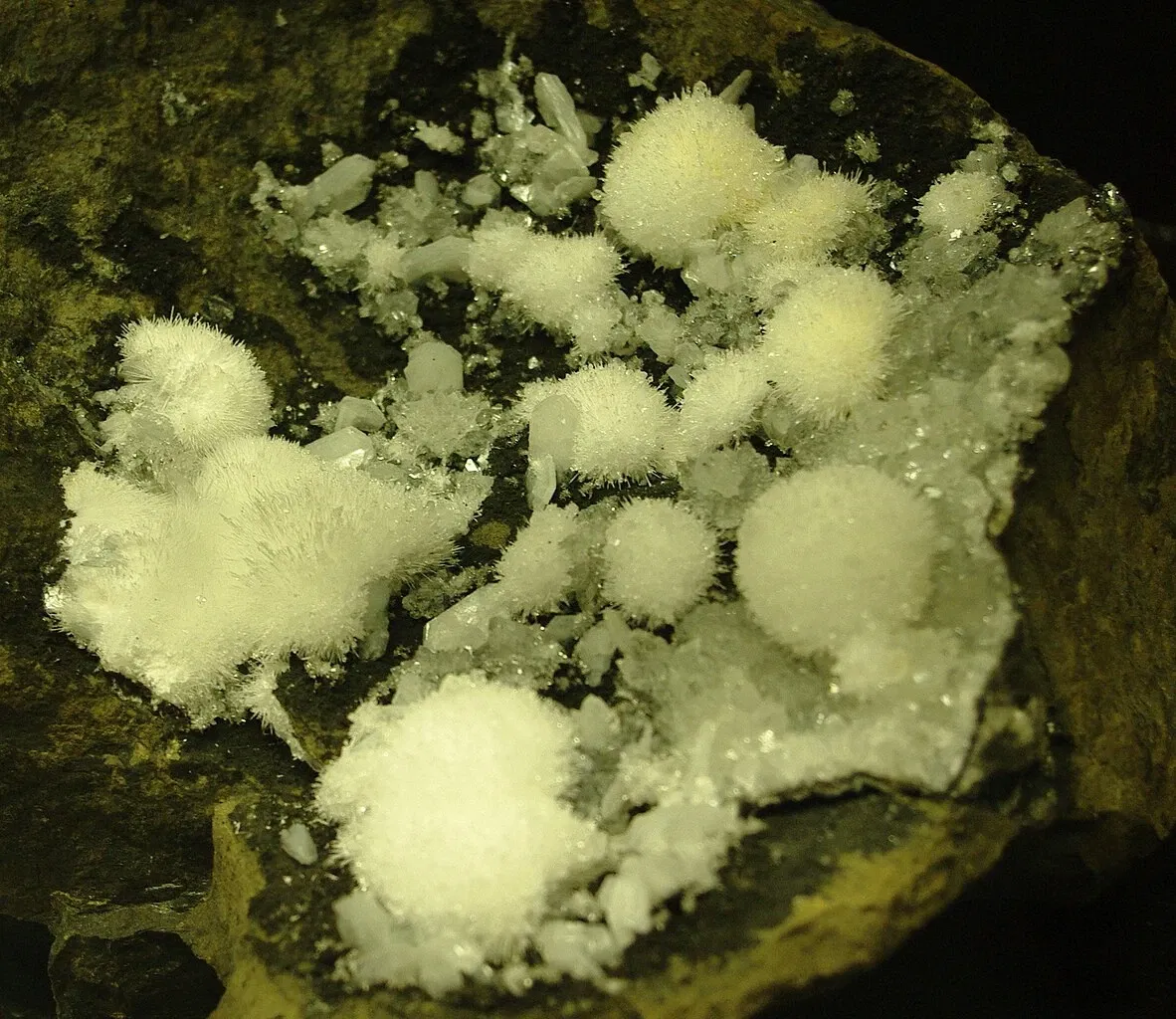 Rice Northwest Museum of Rocks & Minerals