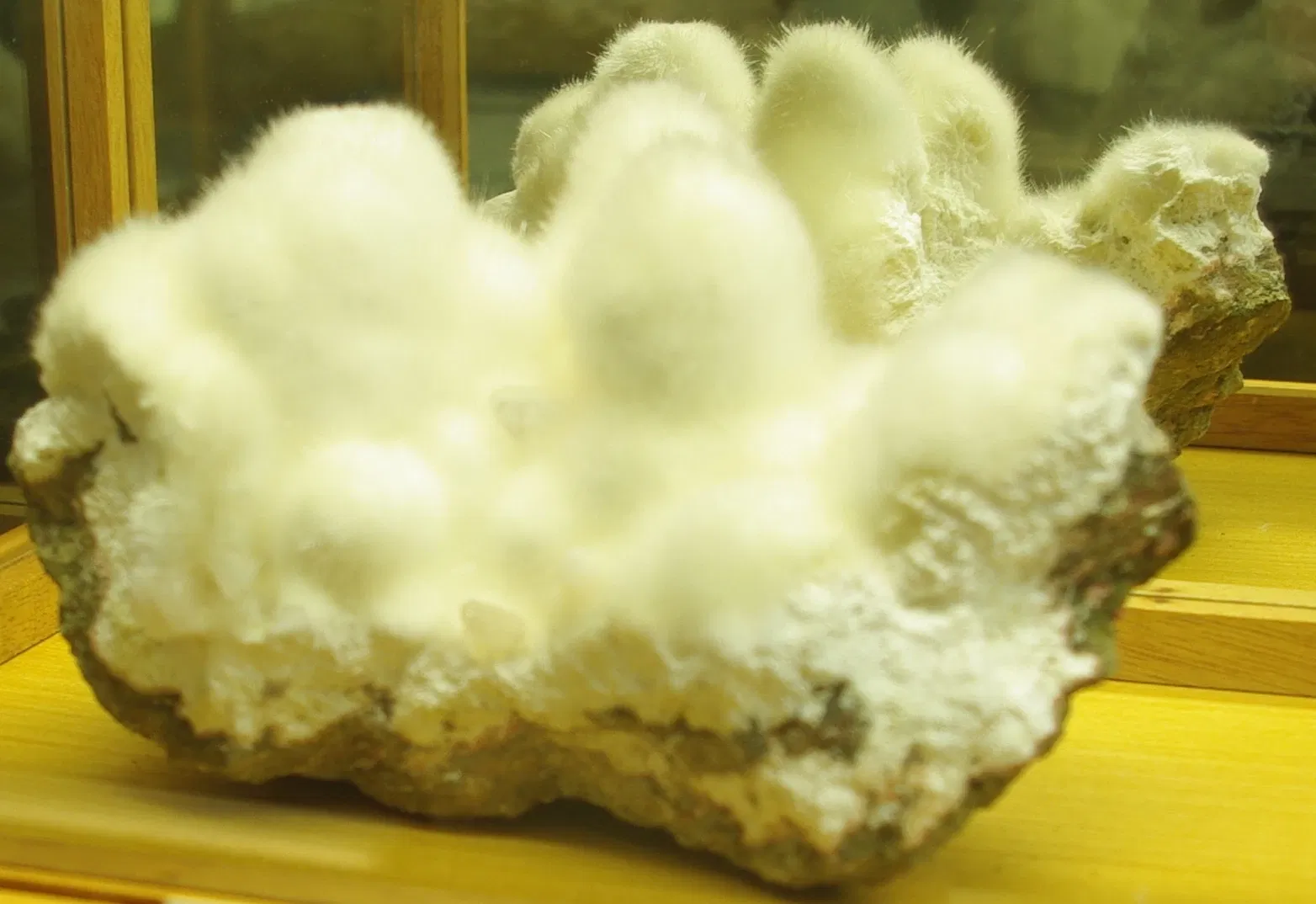 Rice Northwest Museum of Rocks & Minerals