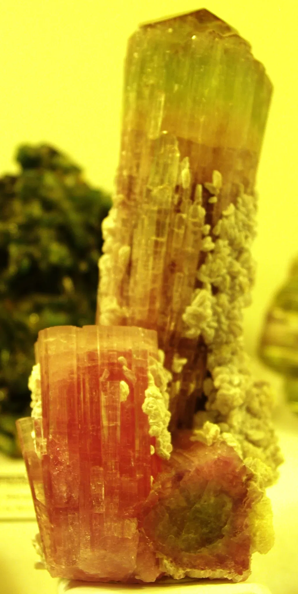 Rice Northwest Museum of Rocks & Minerals