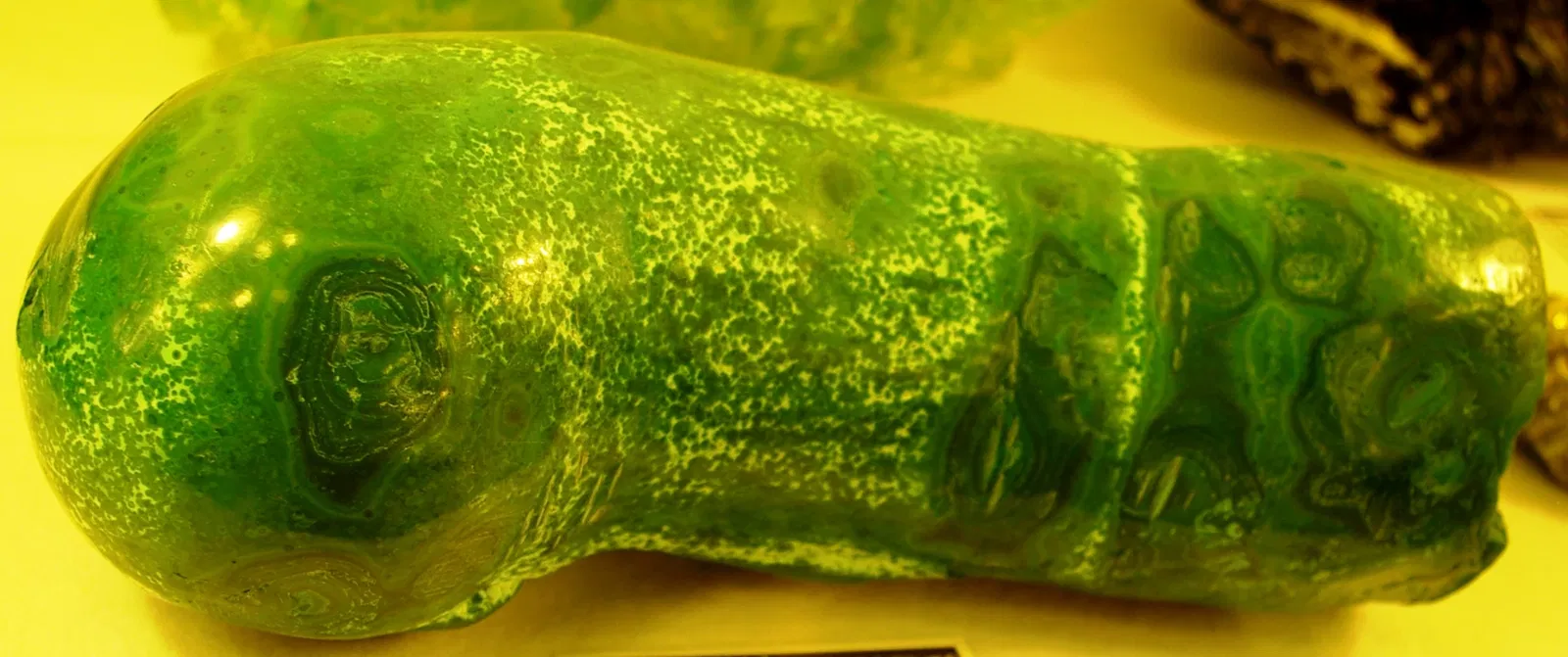 Rice Northwest Museum of Rocks & Minerals