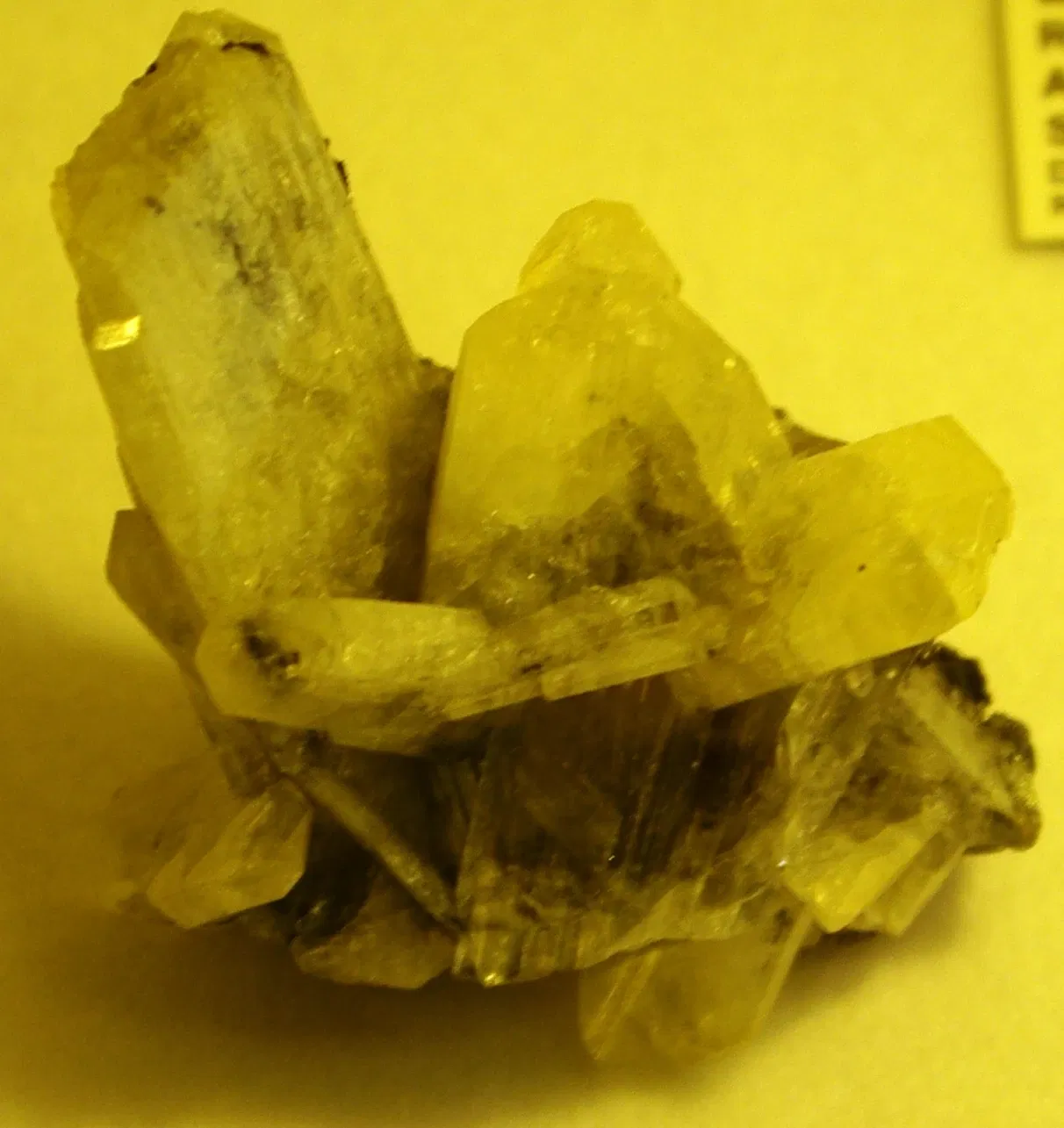 Rice Northwest Museum of Rocks & Minerals