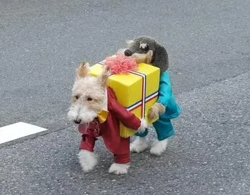 Peter