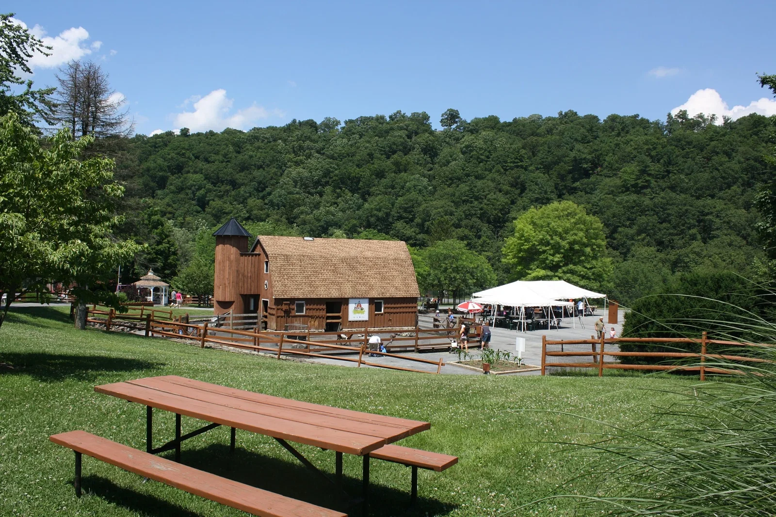 Lehigh Valley Zoo: From Conservation Pioneer to Family Discovery Center