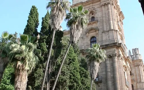 Catedral de Málaga