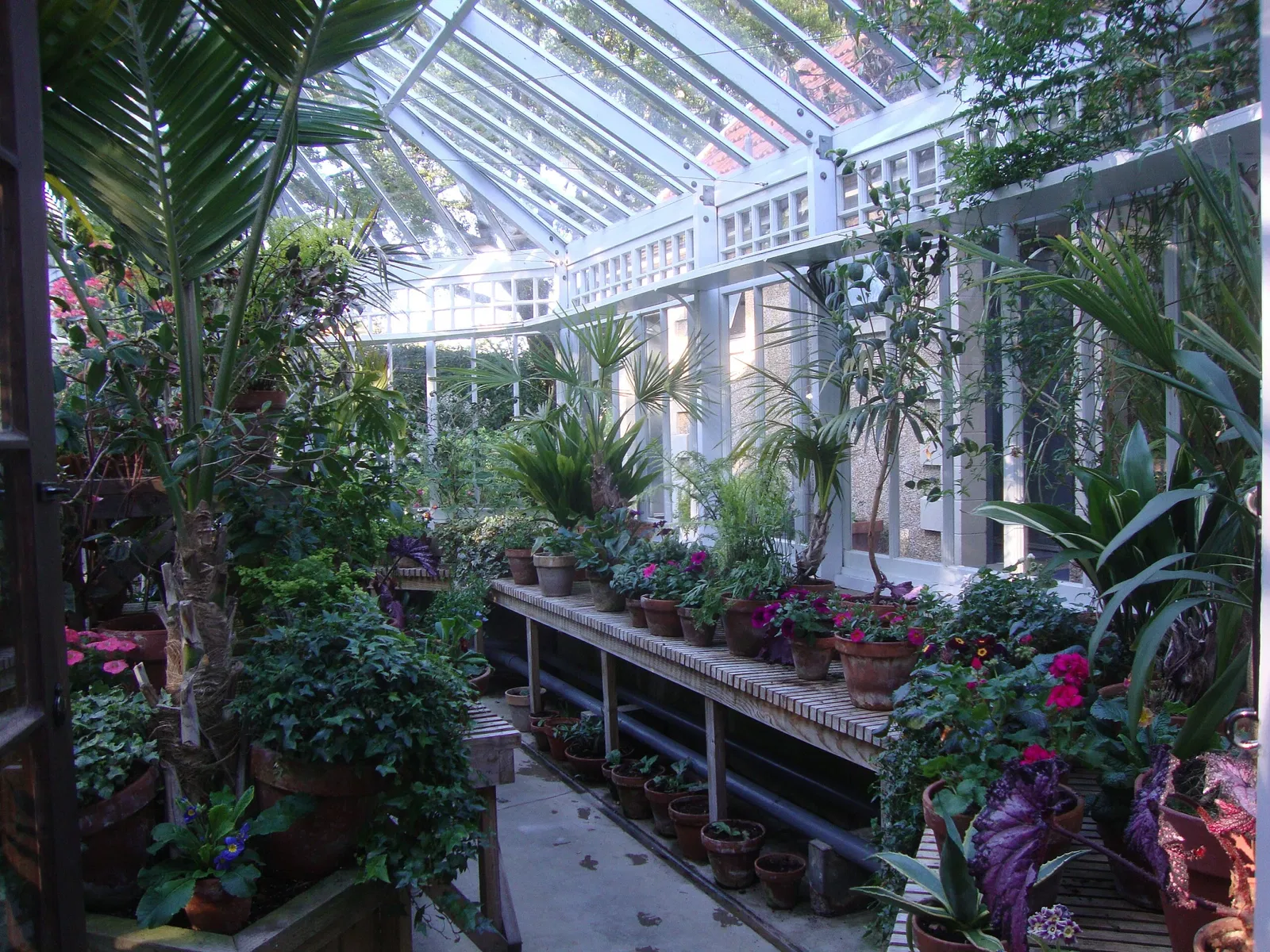 Olveston Historic Home