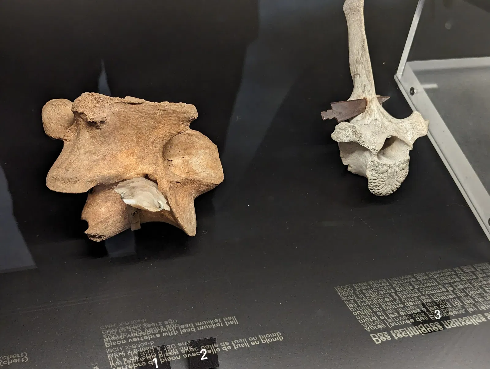 Kanadas Nationalmuseum für Geschichte und Gesellschaft