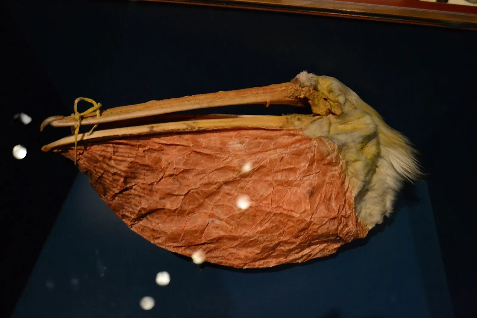 Kanadas Nationalmuseum für Geschichte und Gesellschaft